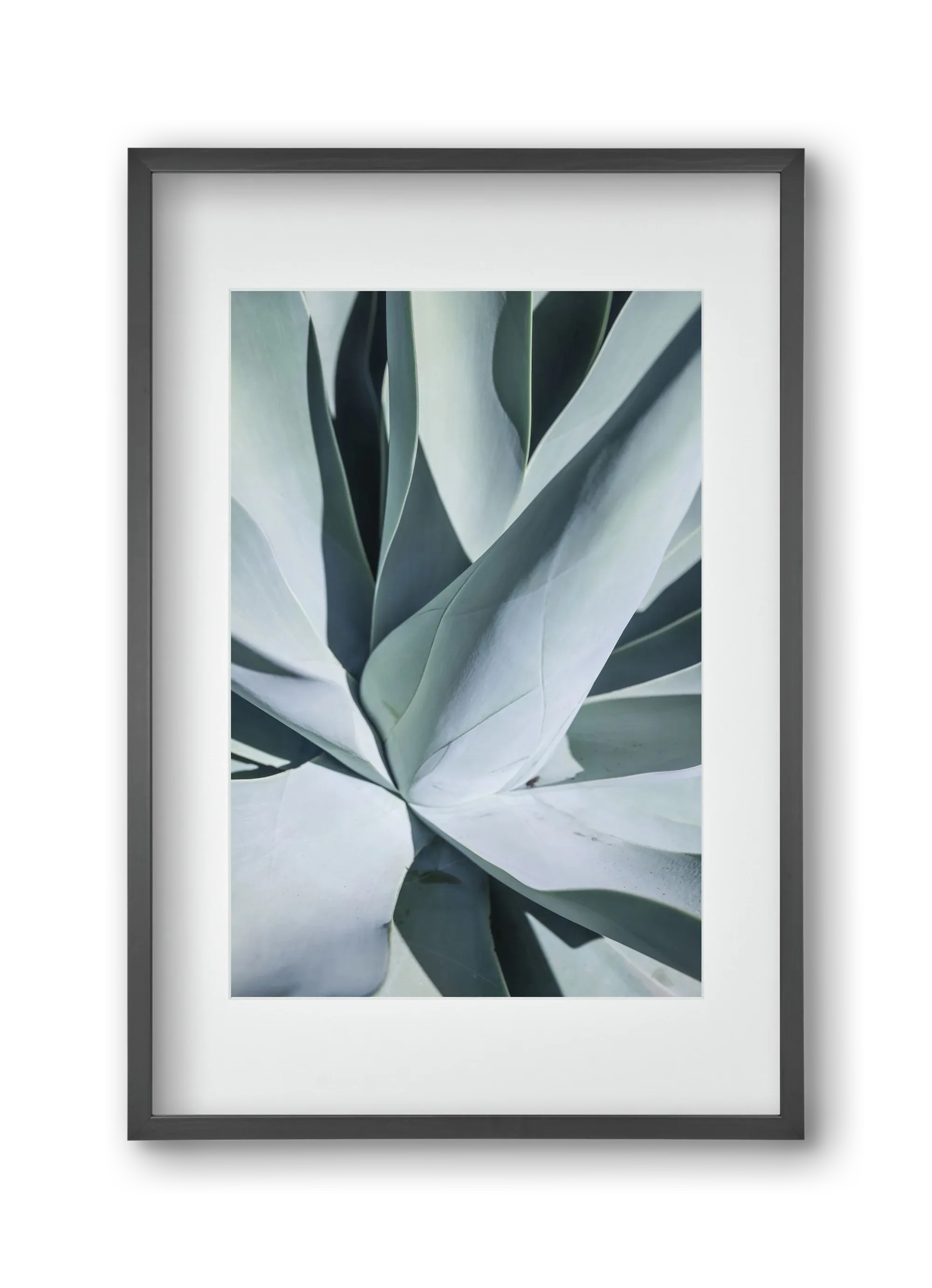 Aqua Cactus - artbridge