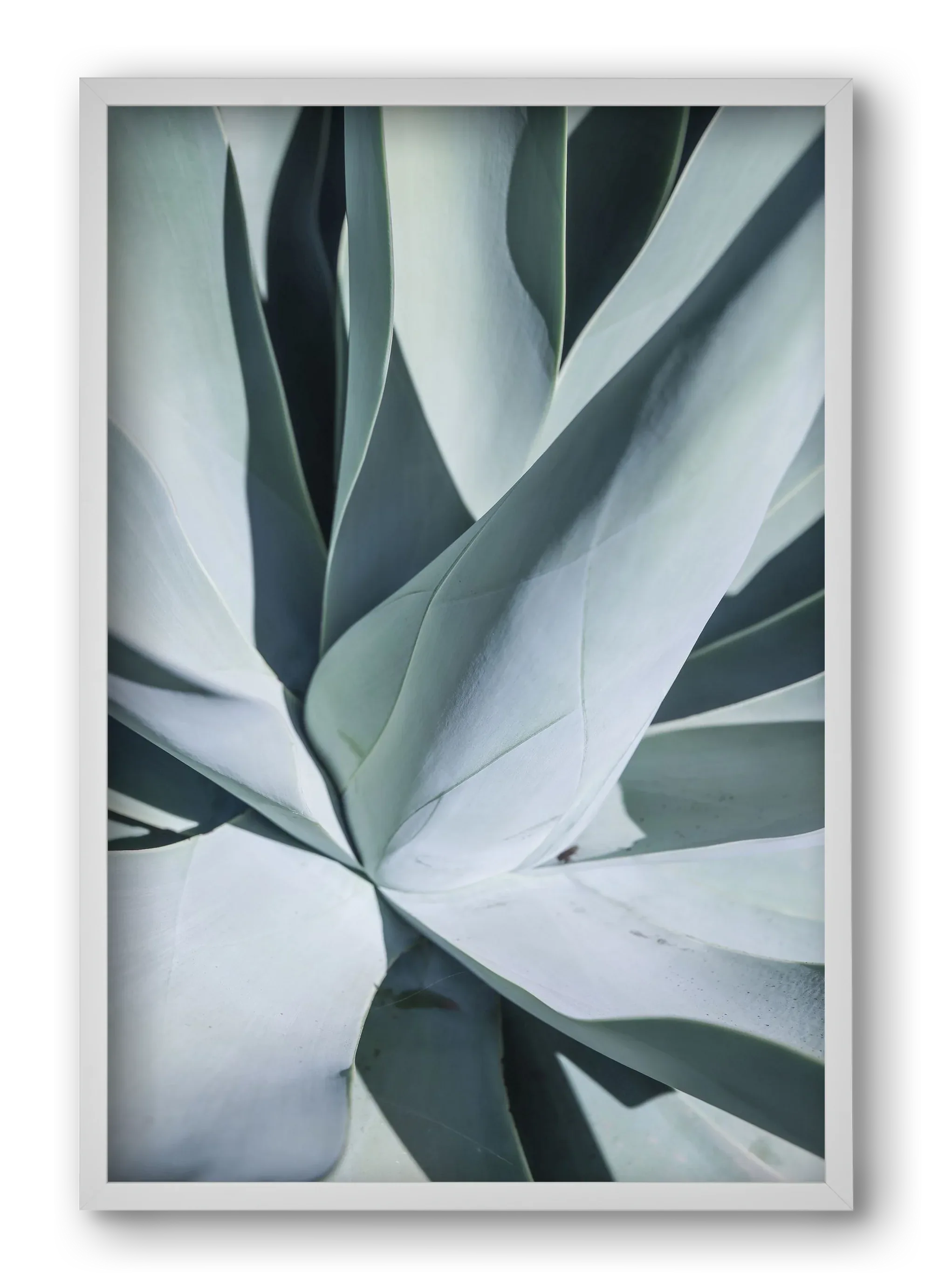 Aqua Cactus - artbridge
