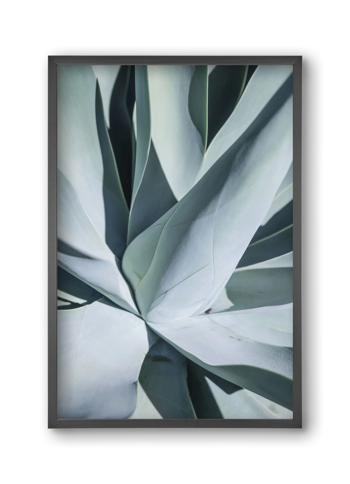 Aqua Cactus - artbridge