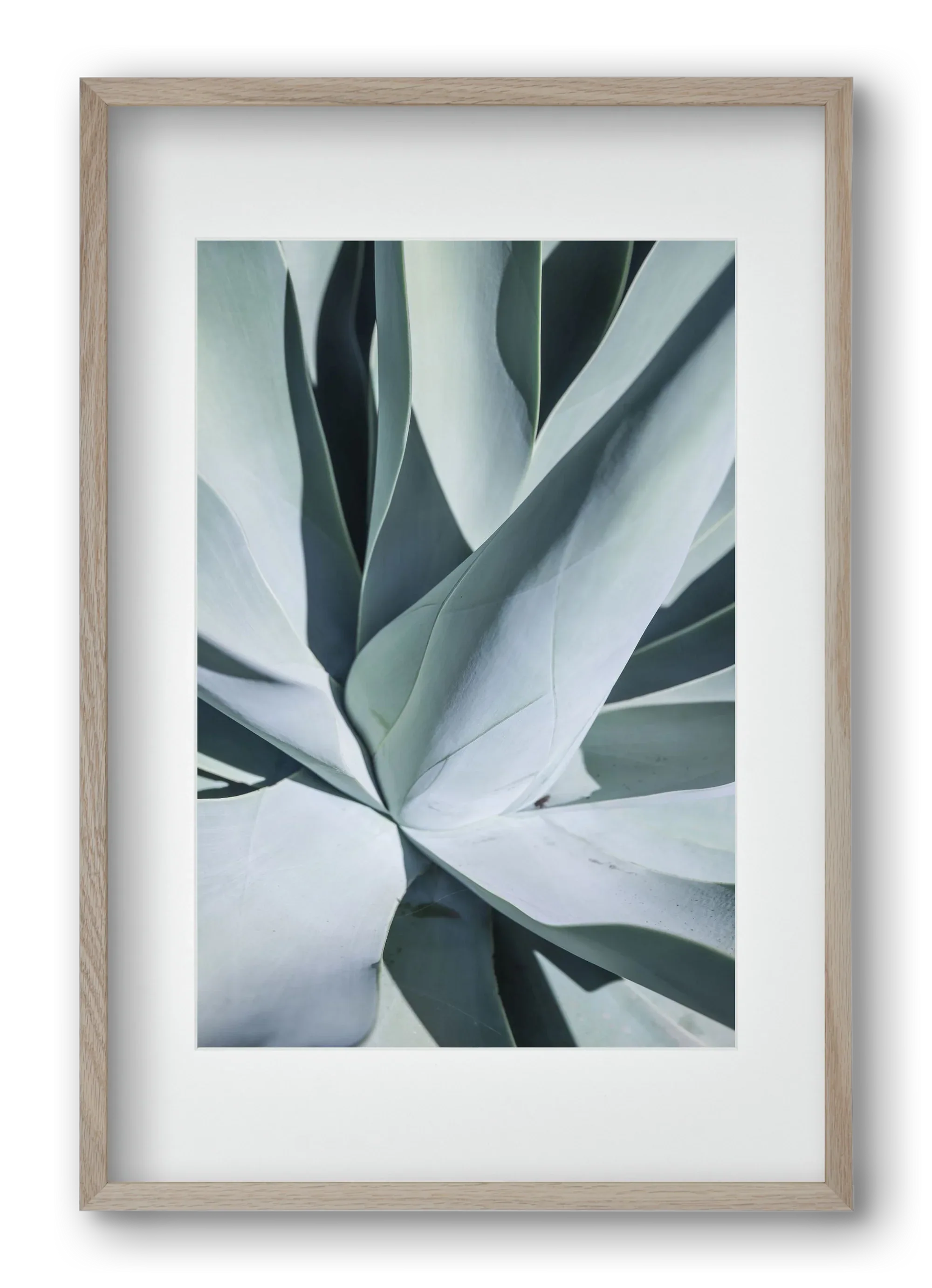Aqua Cactus - artbridge