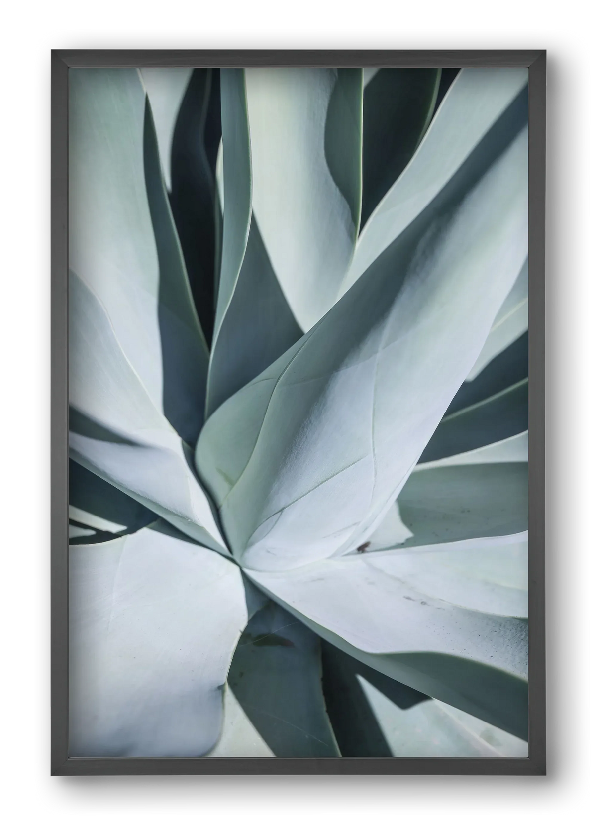 Aqua Cactus - artbridge