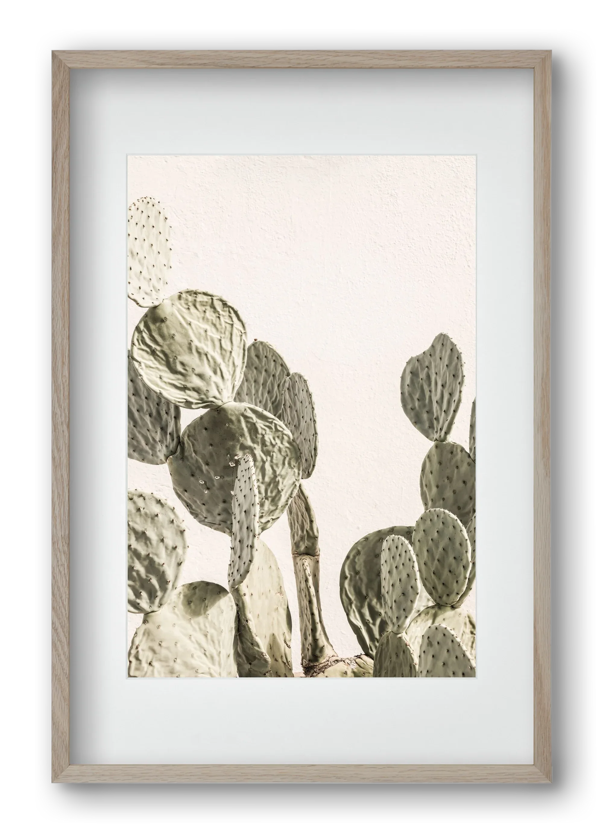 Mexi cactus - artbridge