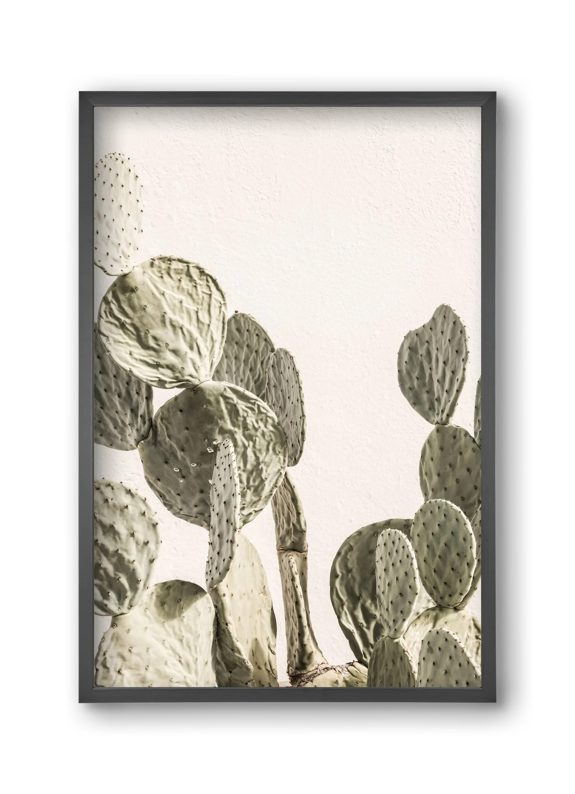 Mexi cactus - artbridge