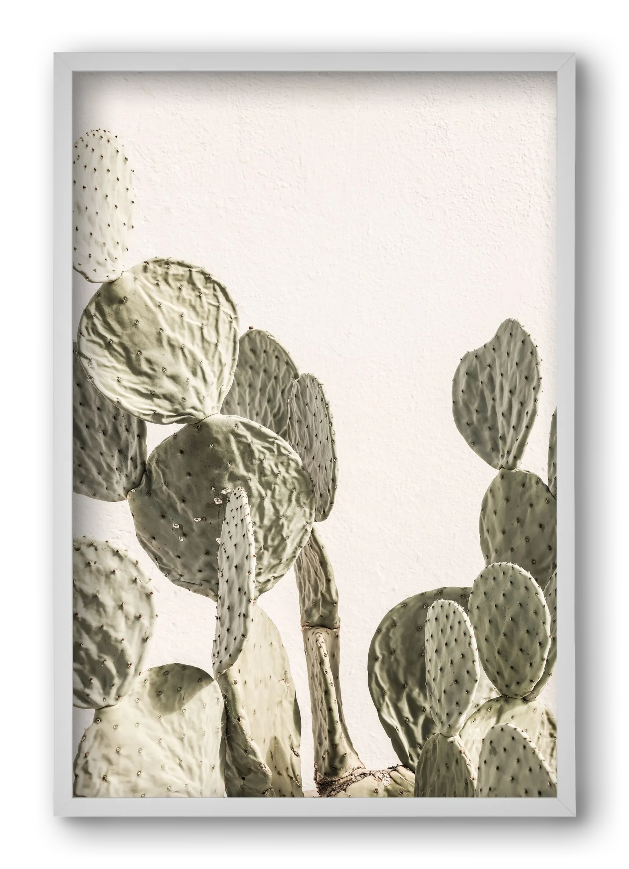 Mexi cactus - artbridge