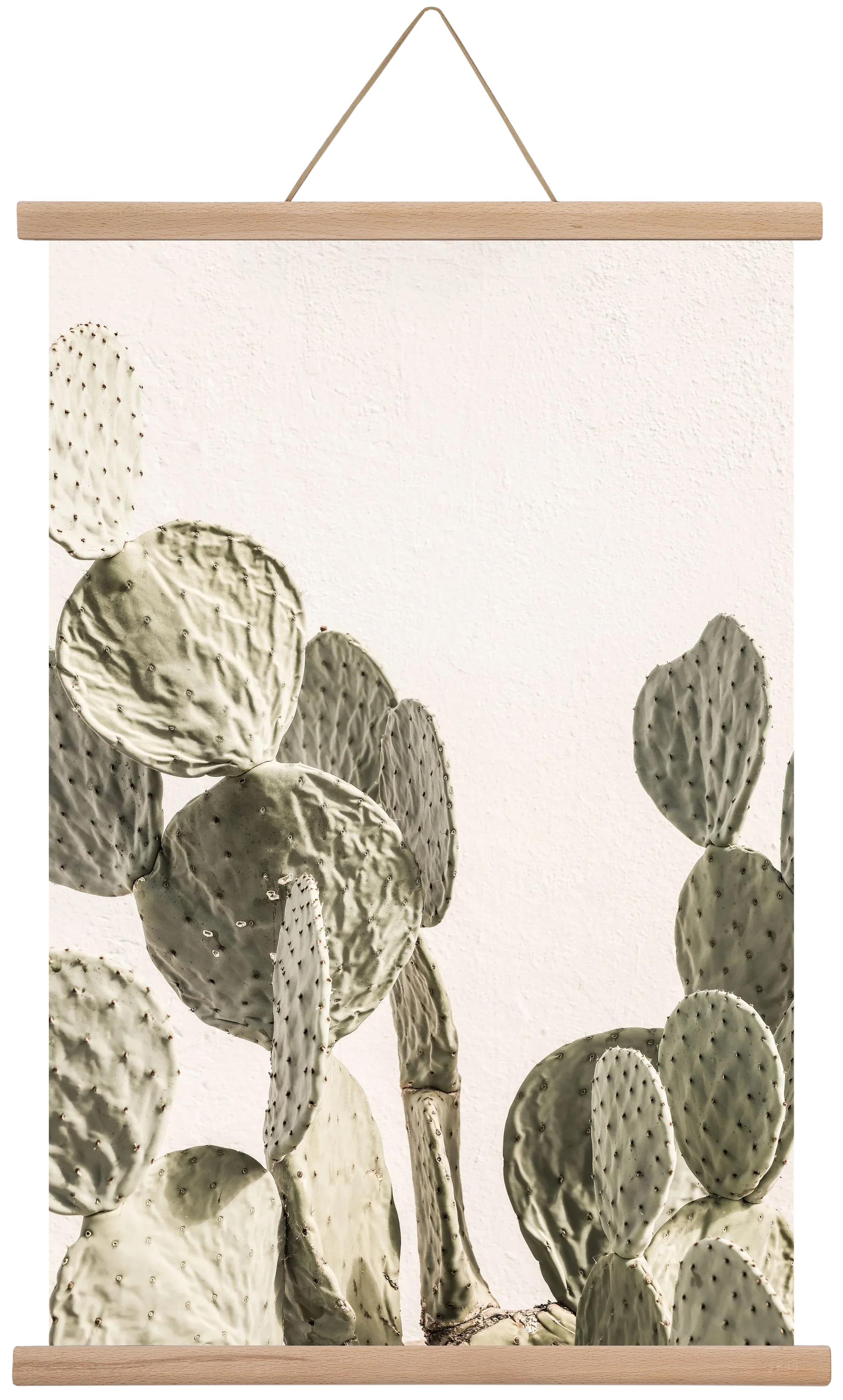 Mexi cactus - artbridge