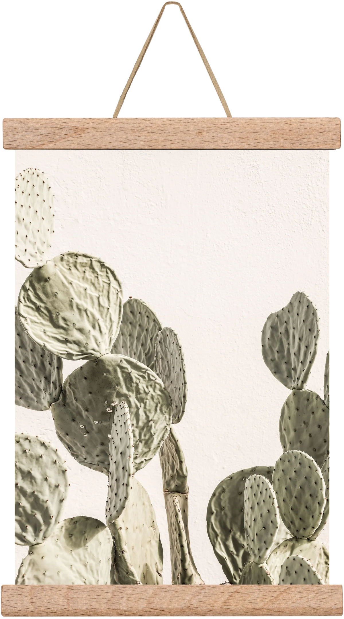 Mexi cactus - artbridge