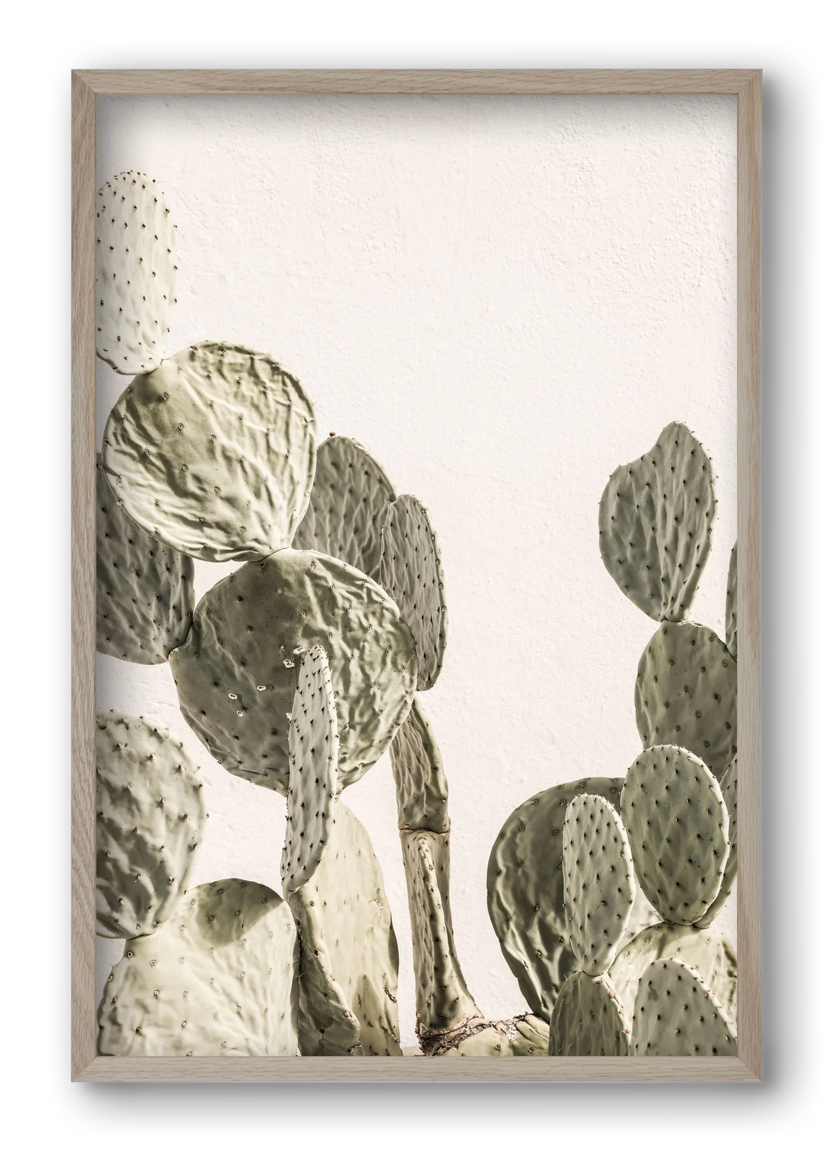 Mexi cactus - artbridge
