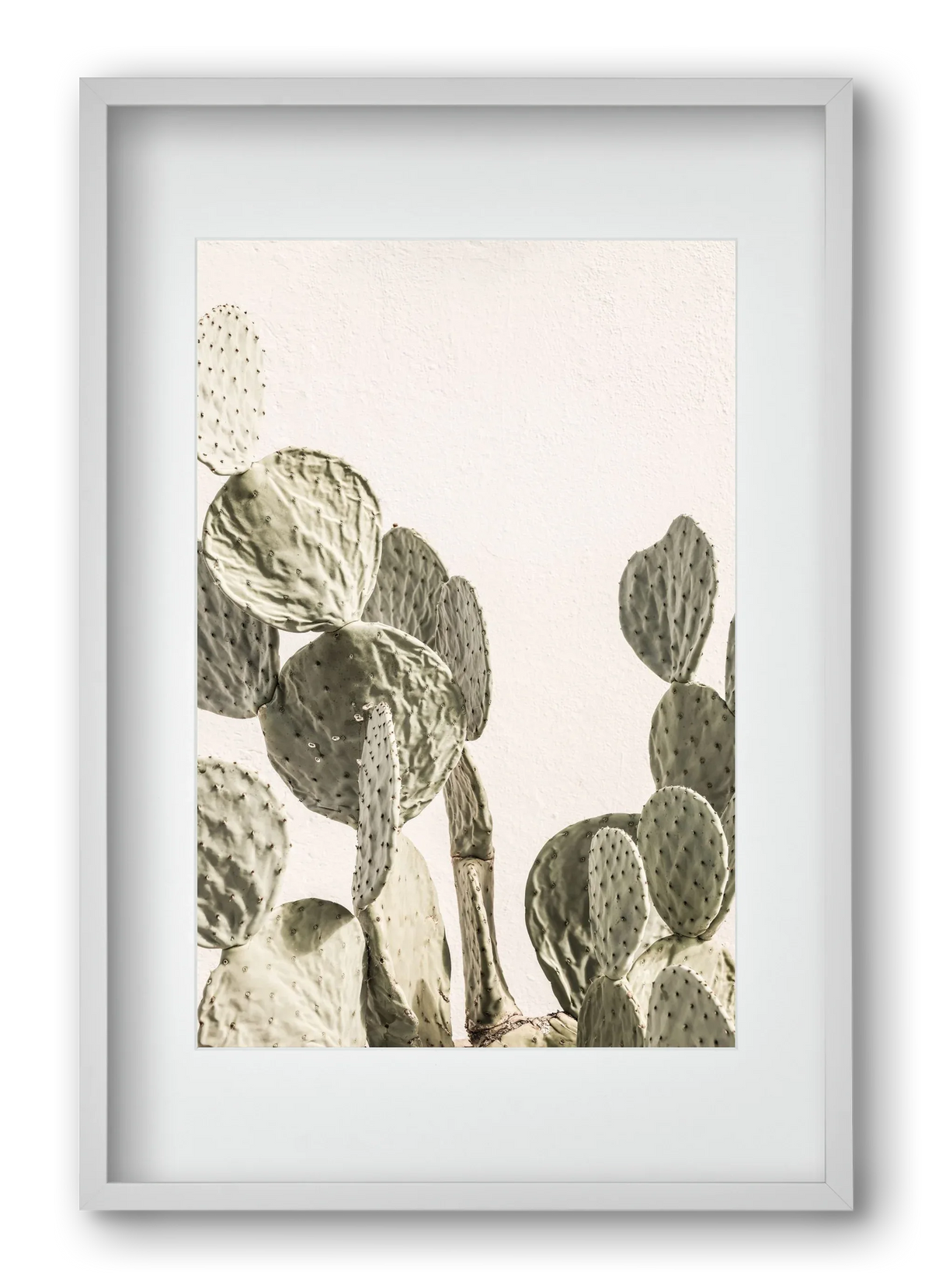 Mexi cactus - artbridge