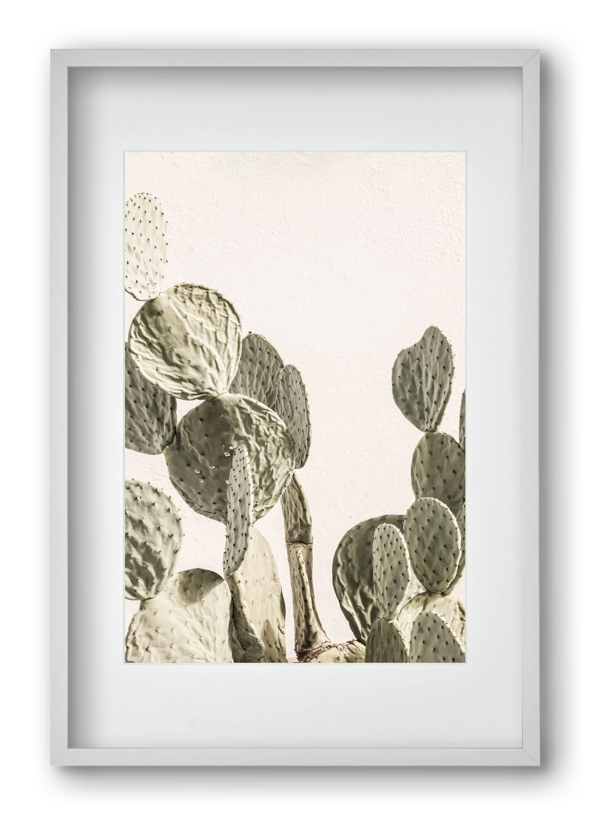 Mexi cactus - artbridge