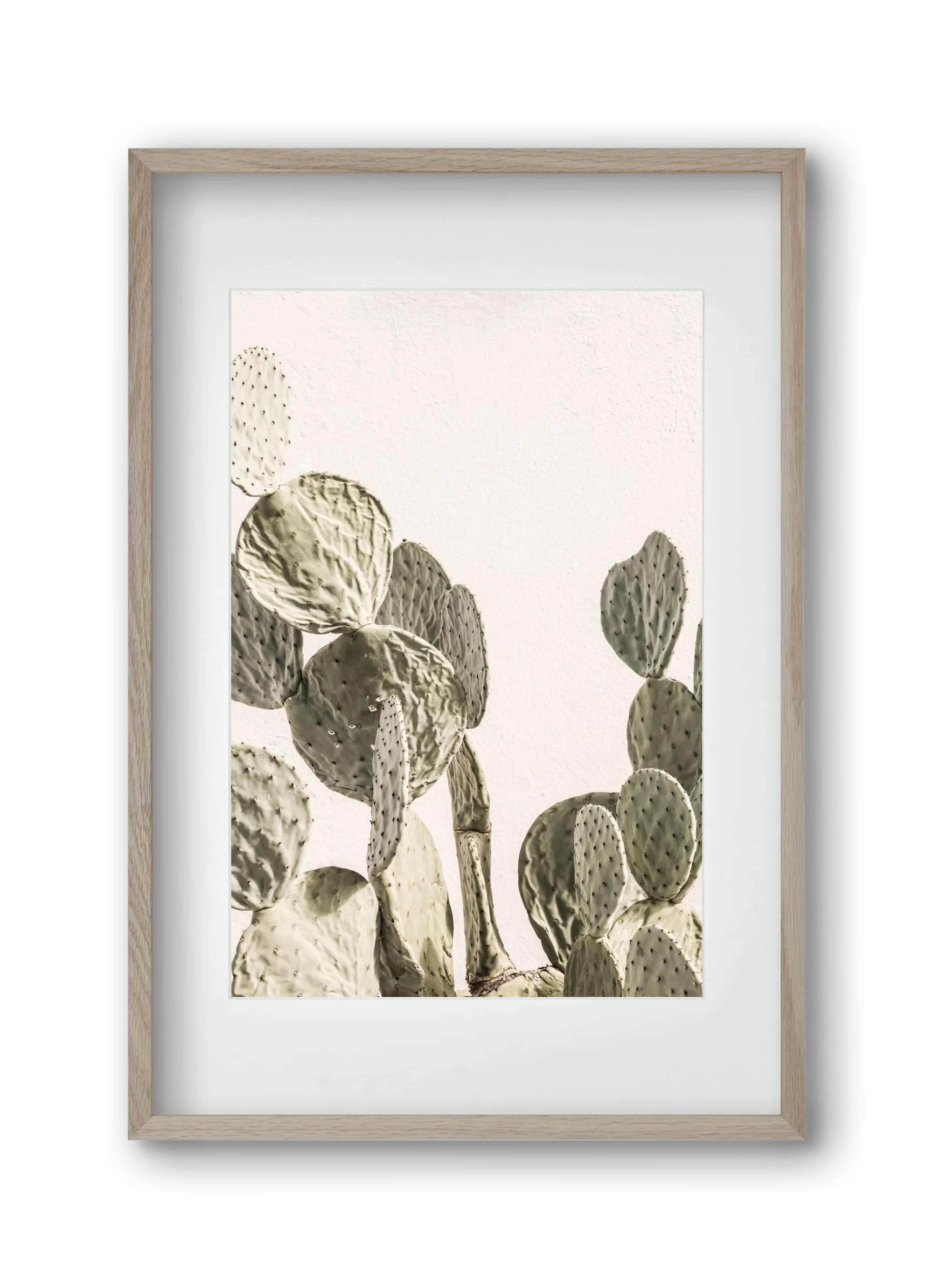 Mexi cactus - artbridge