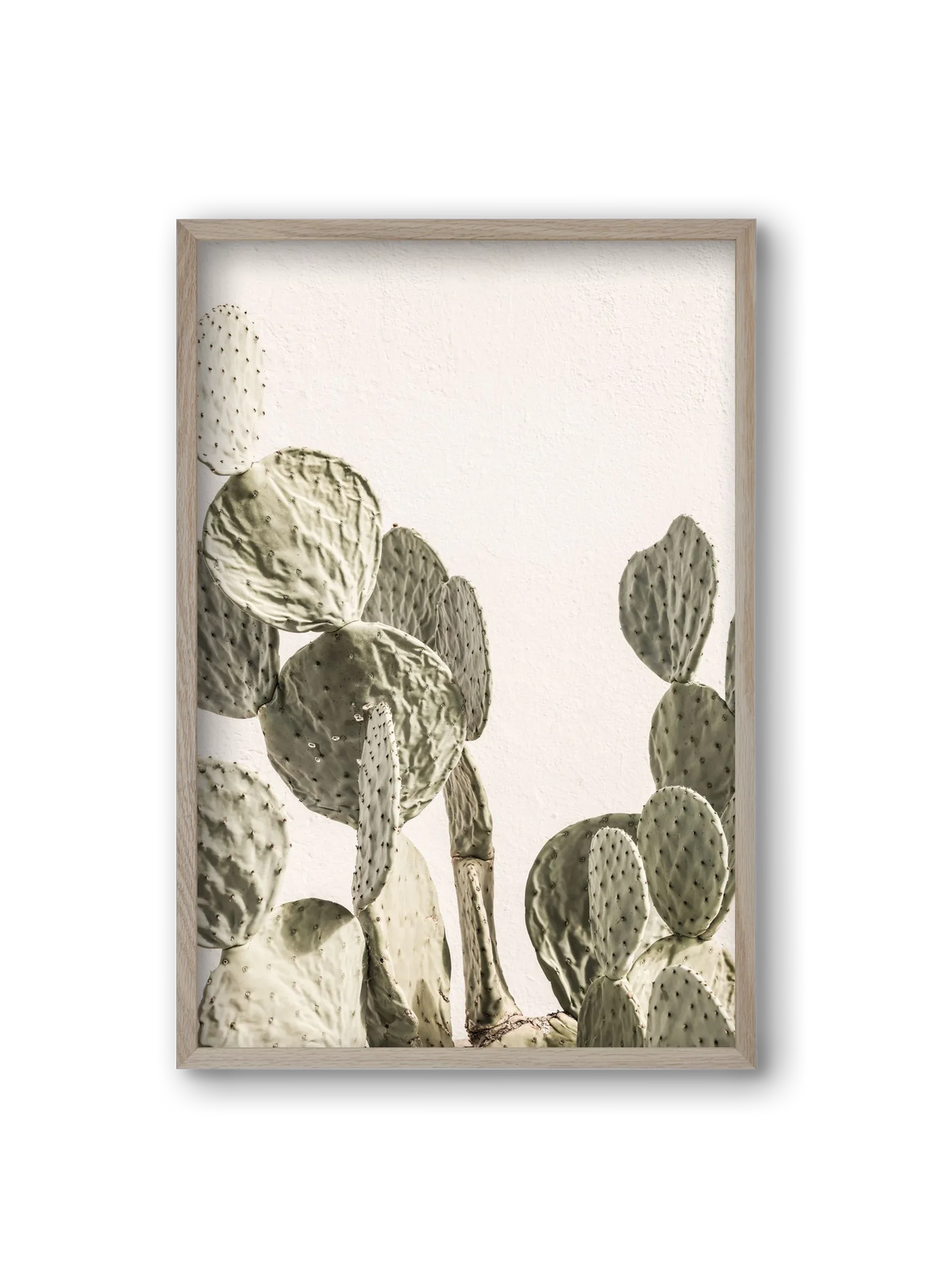 Mexi cactus - artbridge