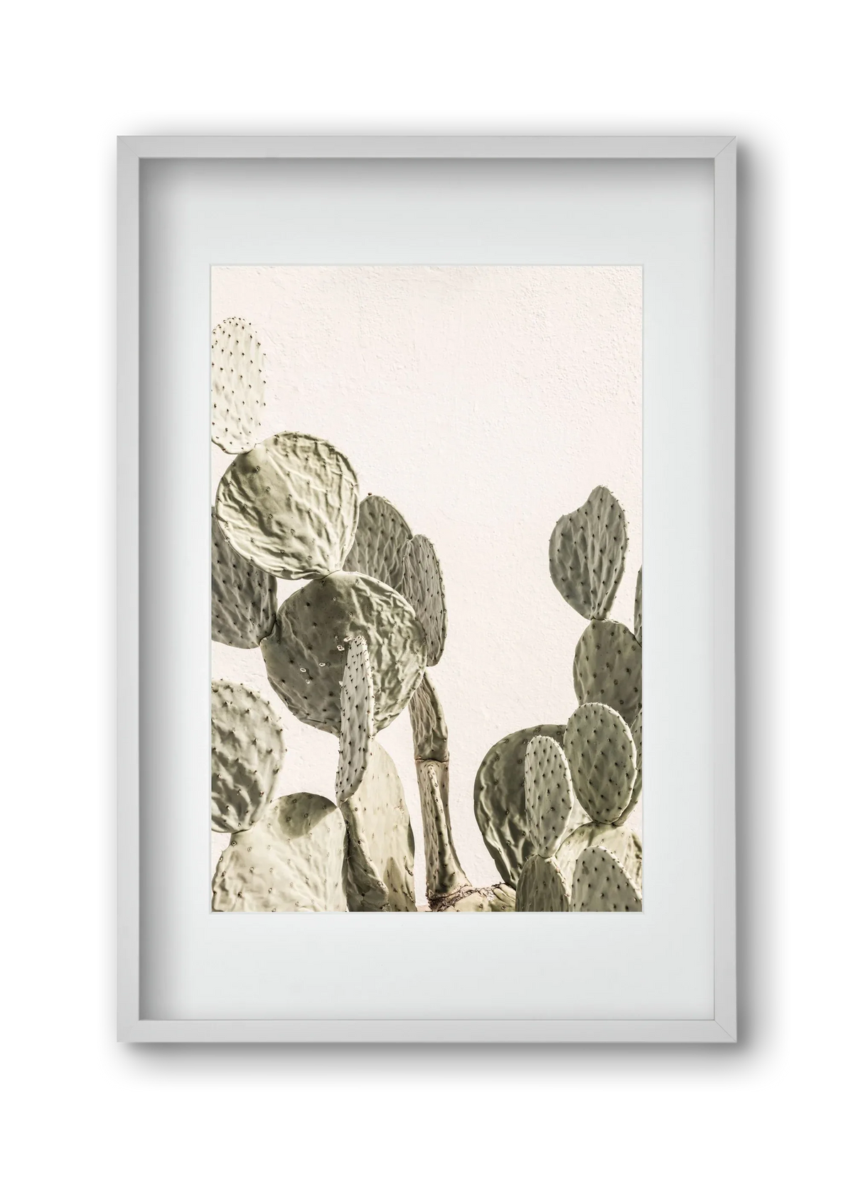 Mexi cactus - artbridge