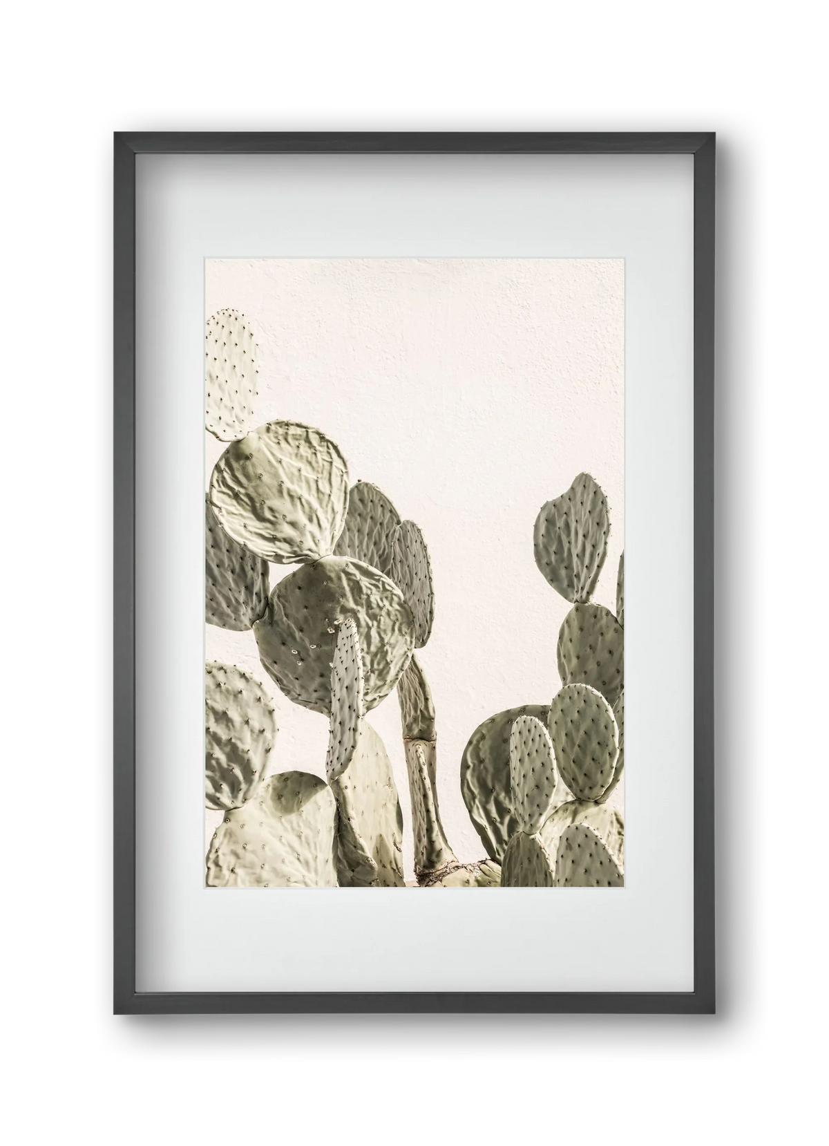 Mexi cactus - artbridge