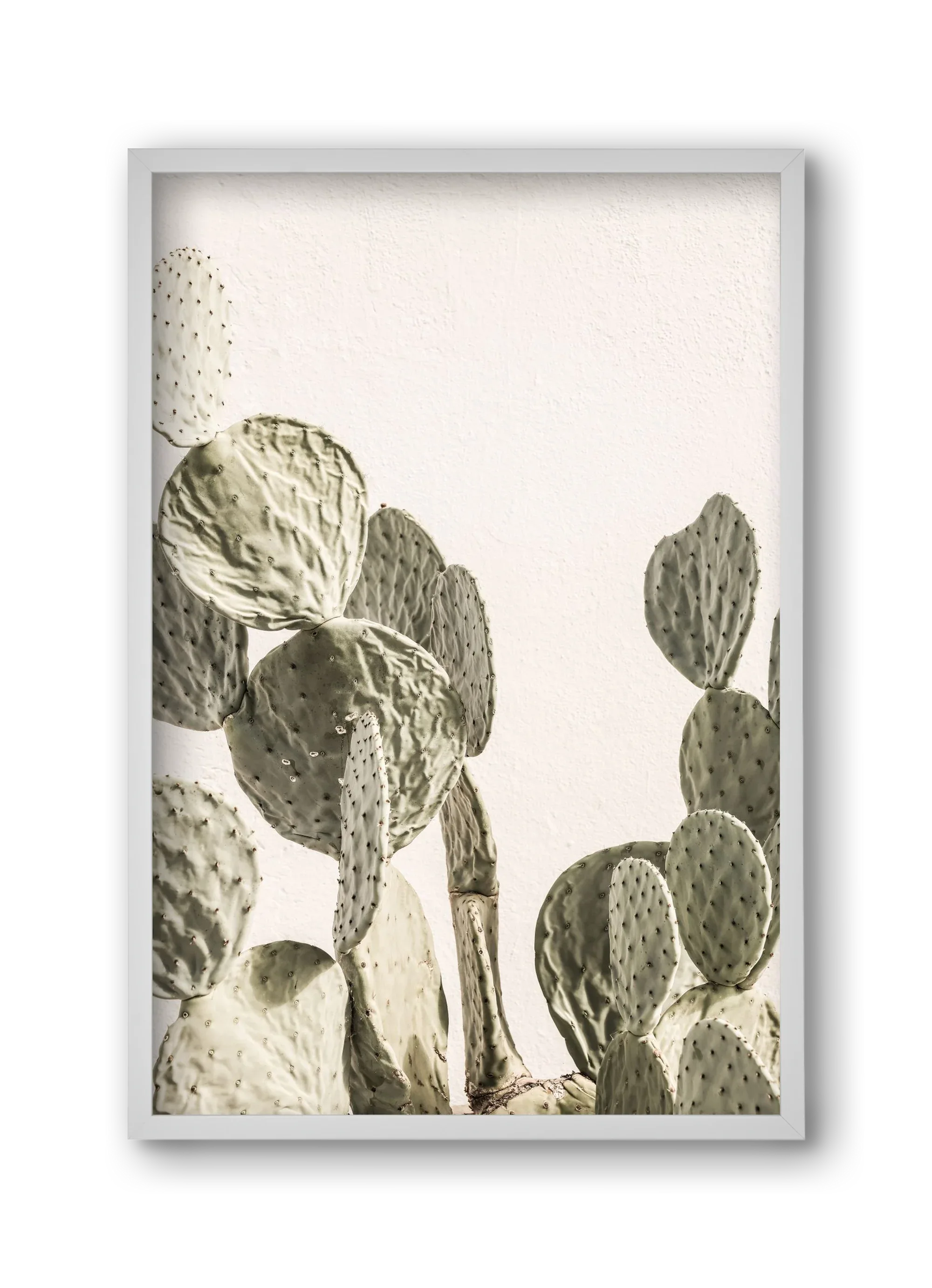 Mexi cactus - artbridge