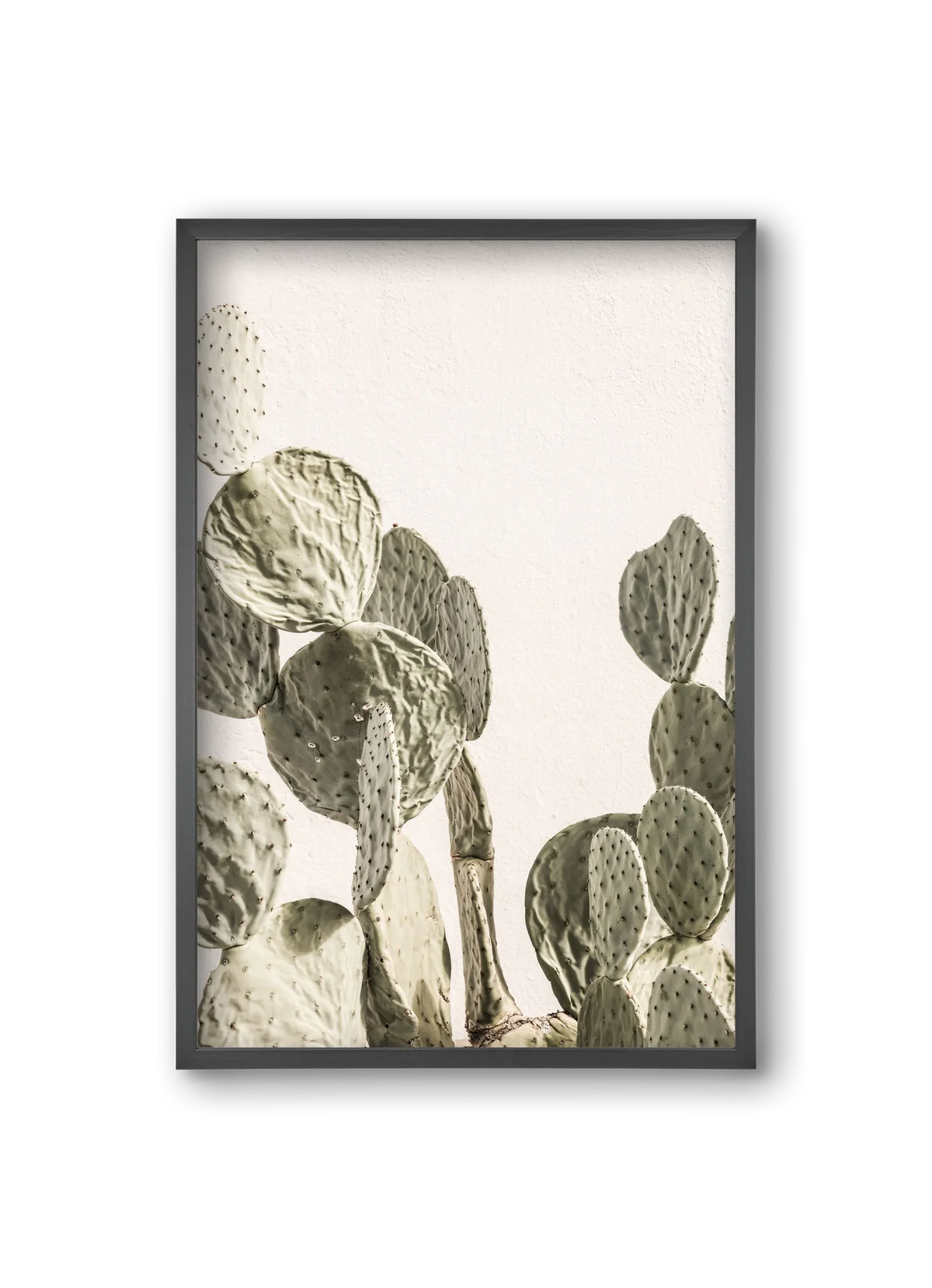 Mexi cactus - artbridge
