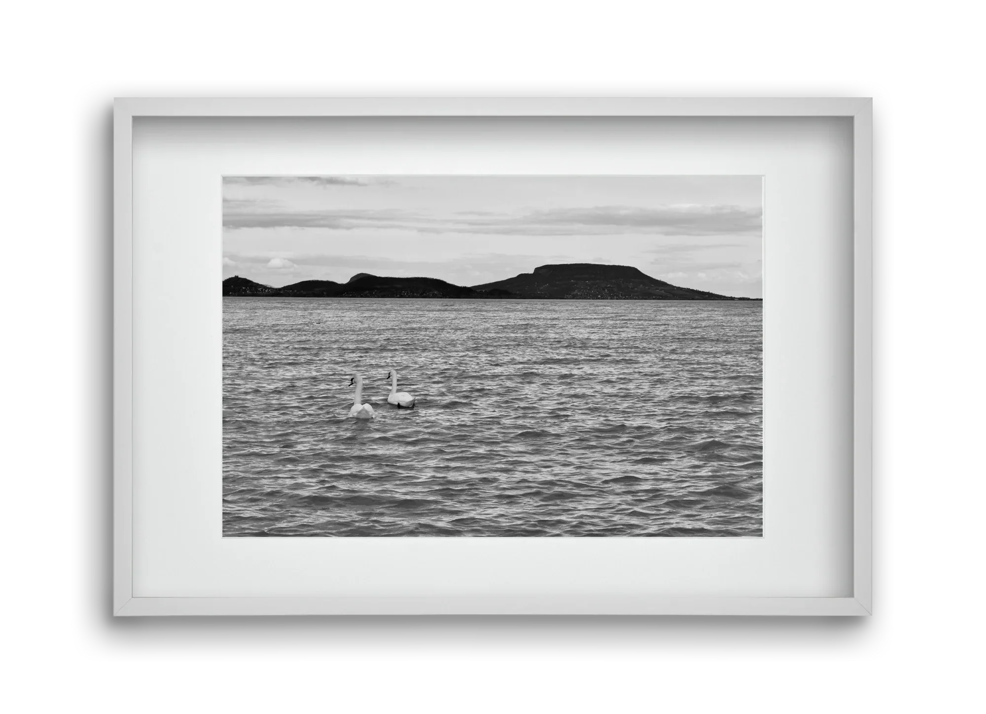 in pairs - artbridge