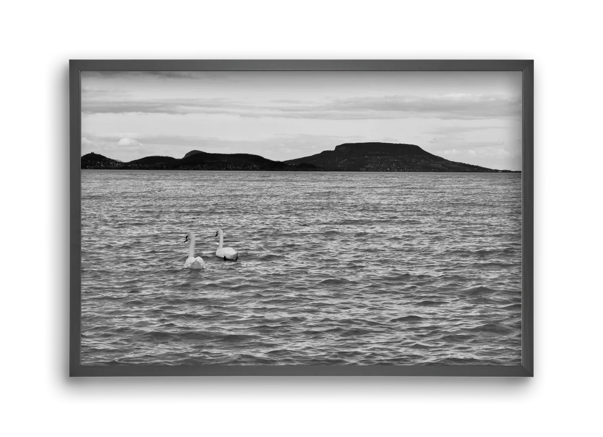 in pairs - artbridge