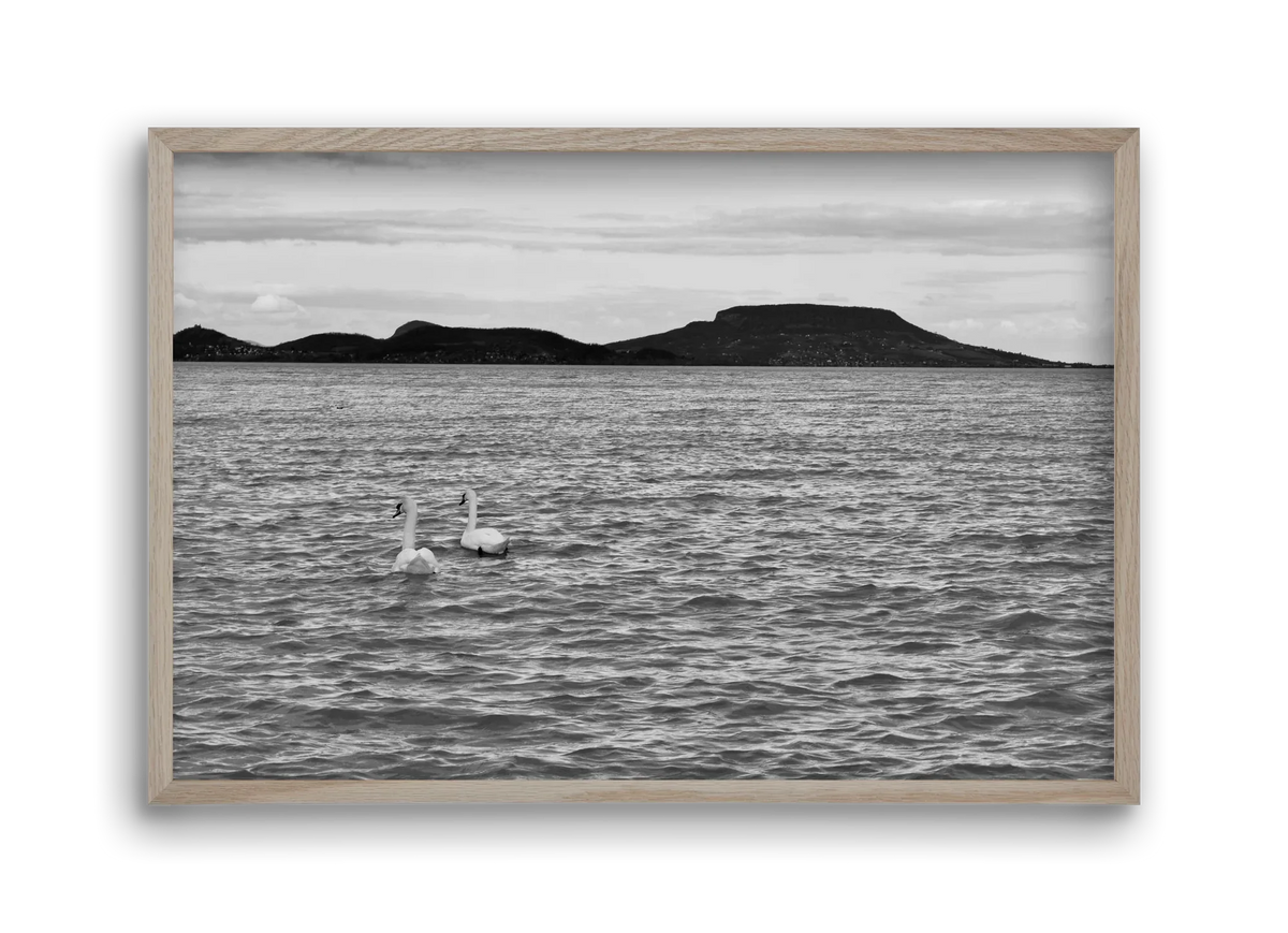 in pairs - artbridge