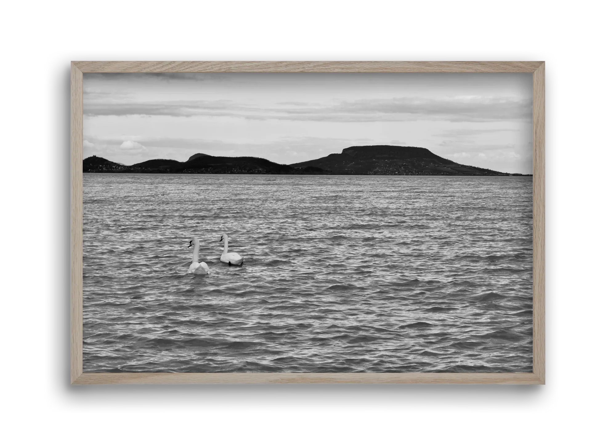 in pairs - artbridge