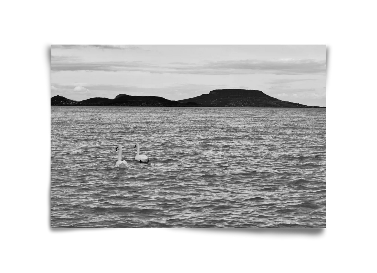 in pairs - artbridge