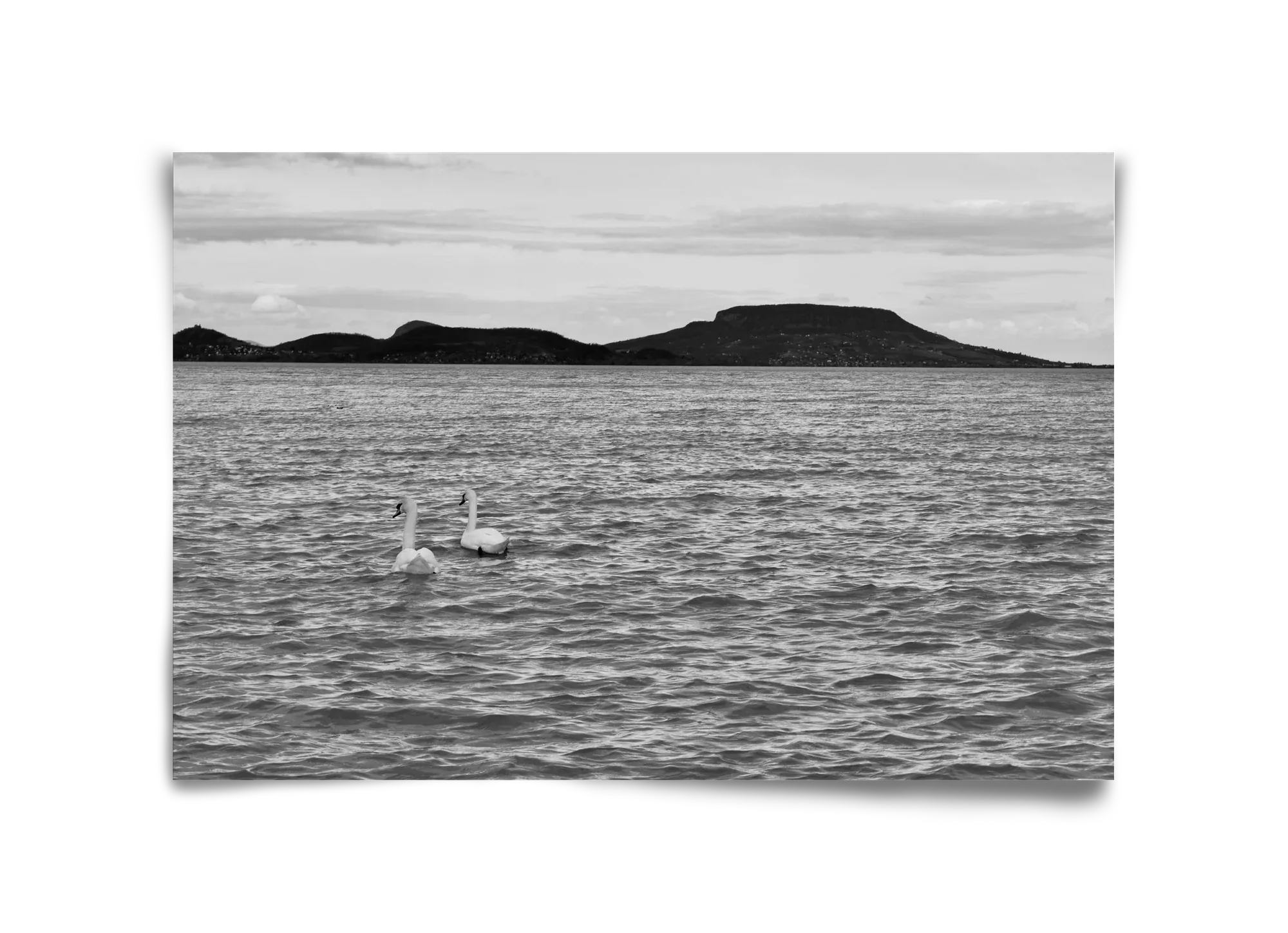in pairs - artbridge
