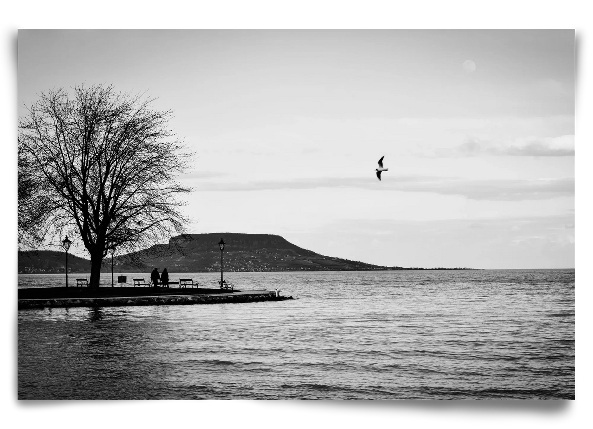 Full moon - artbridge