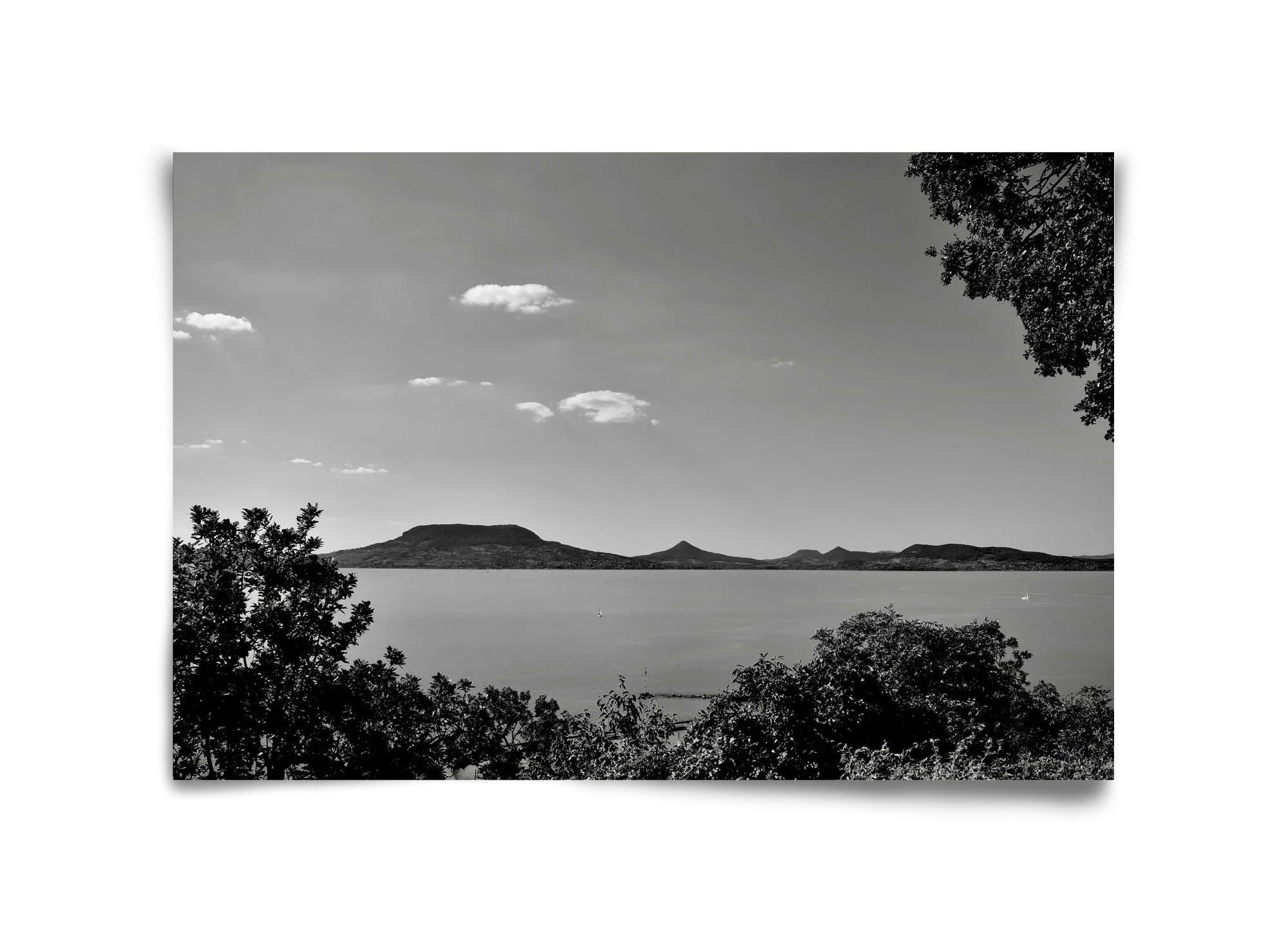 Balaton Summer - artbridge