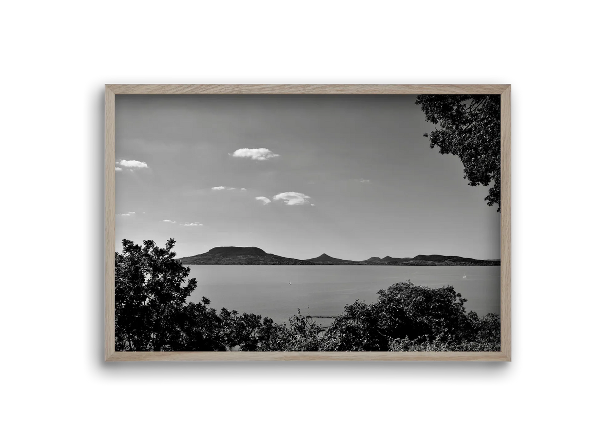Balaton Summer - artbridge