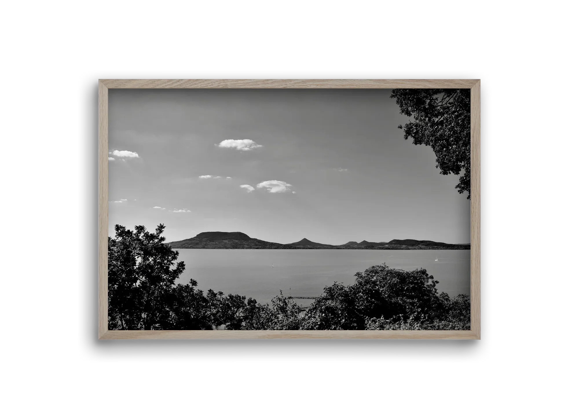 Balaton Summer - artbridge