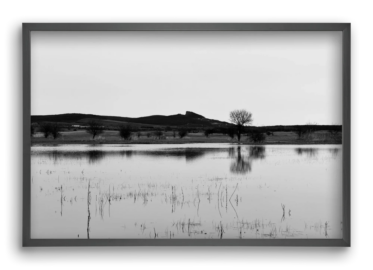 sharp - artbridge