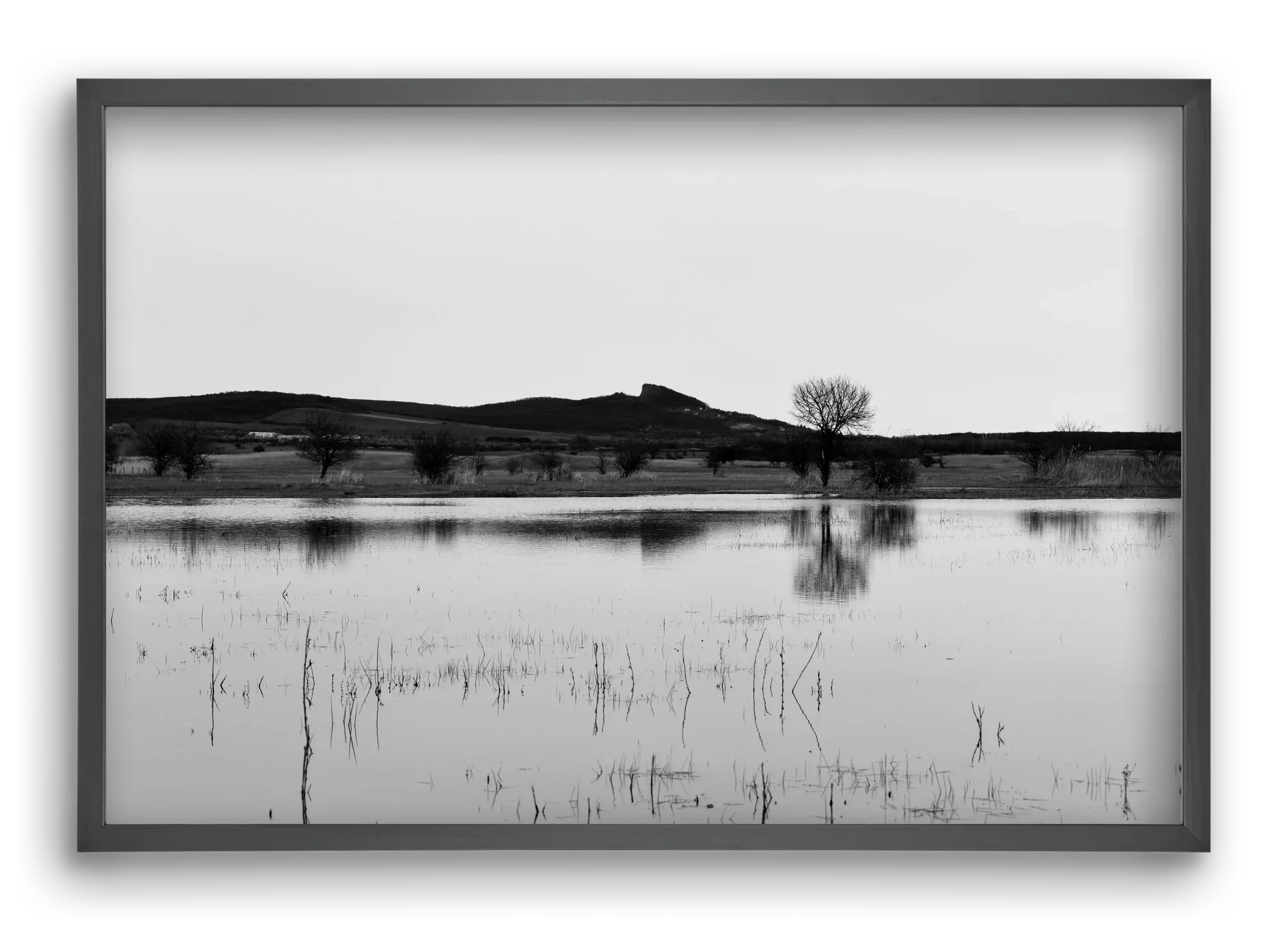 sharp - artbridge