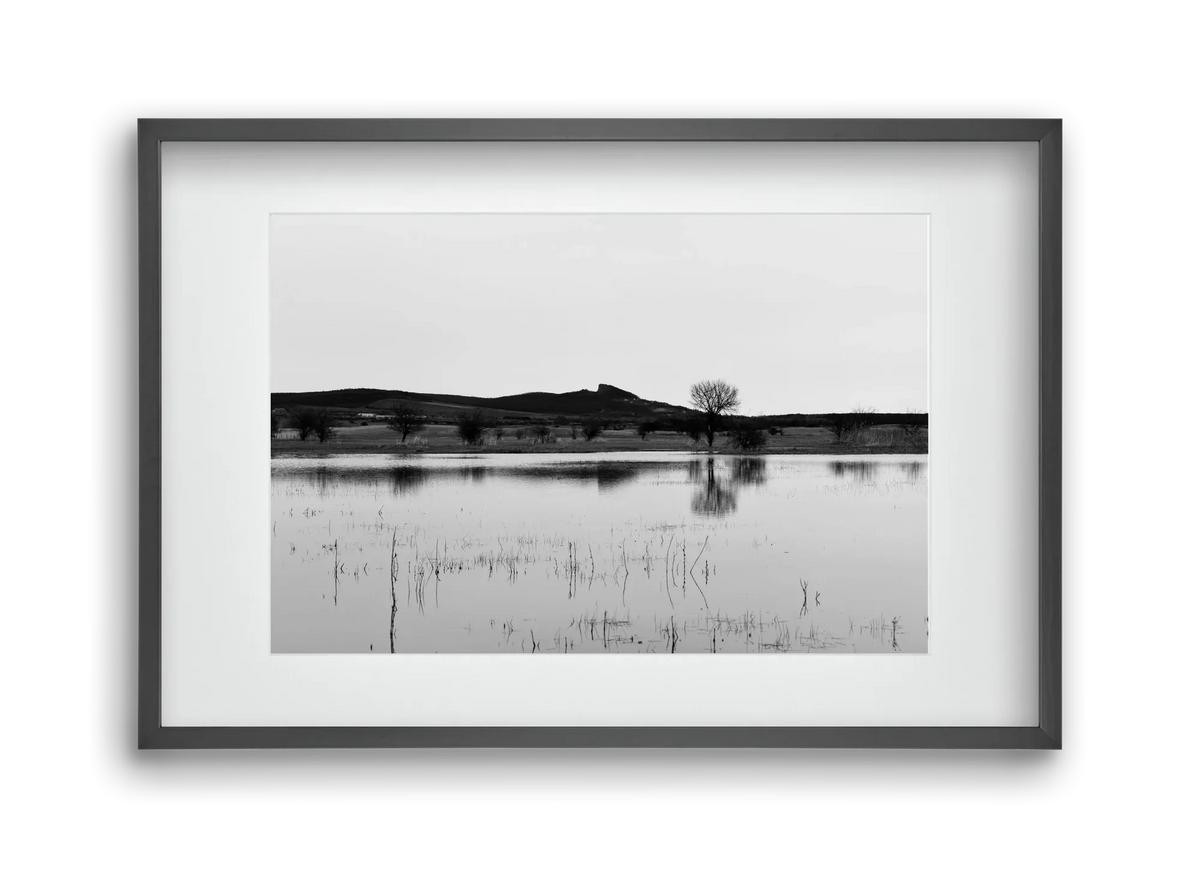 sharp - artbridge