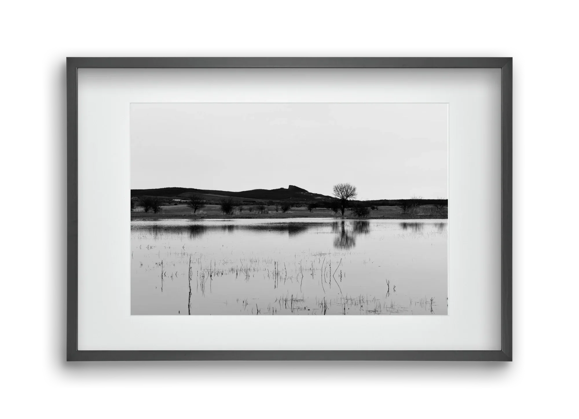 sharp - artbridge
