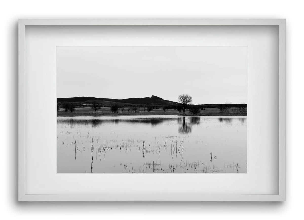 sharp - artbridge