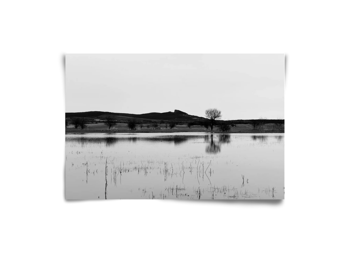 sharp - artbridge