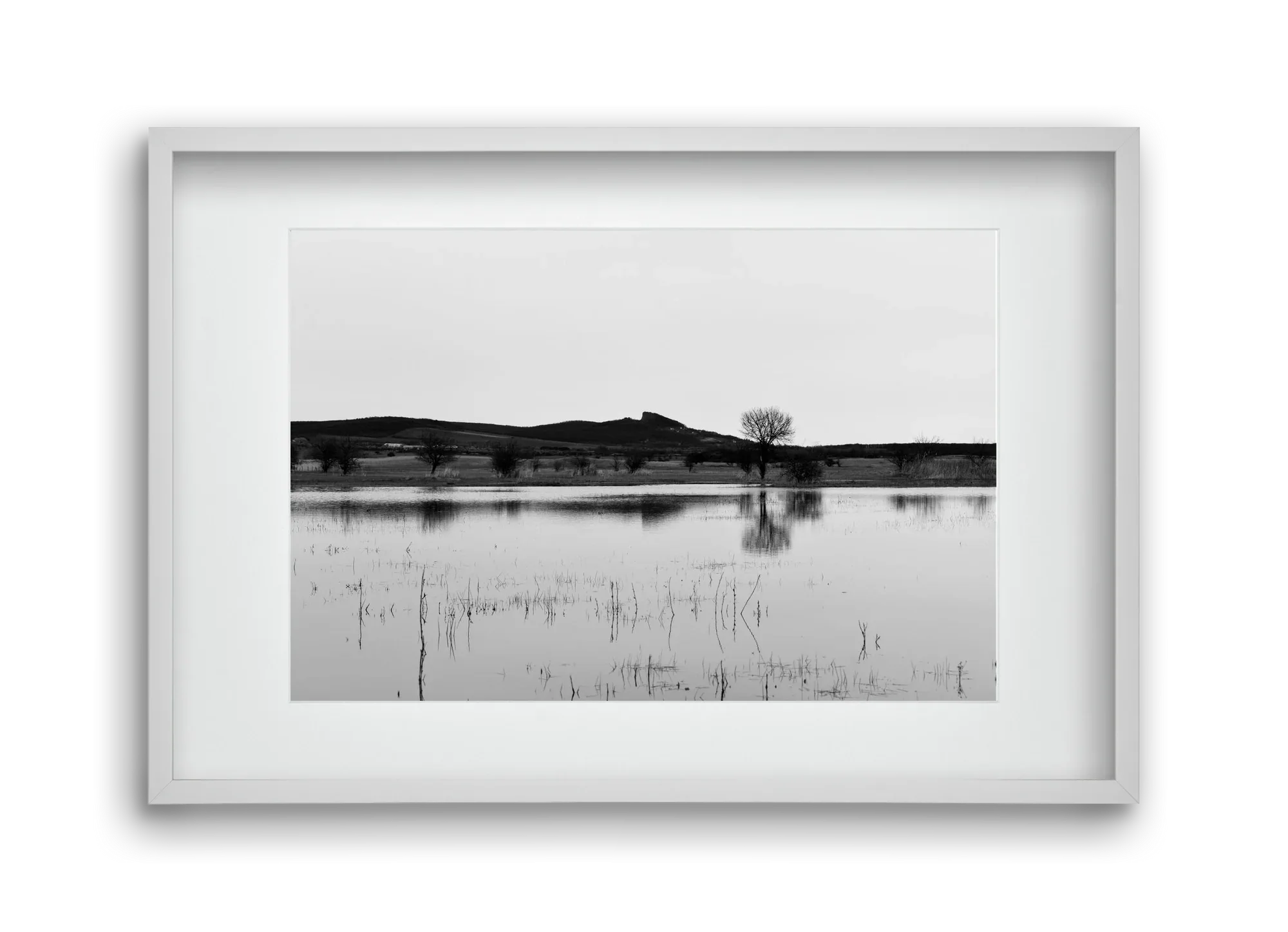 sharp - artbridge