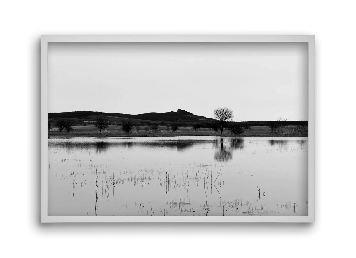 sharp - artbridge