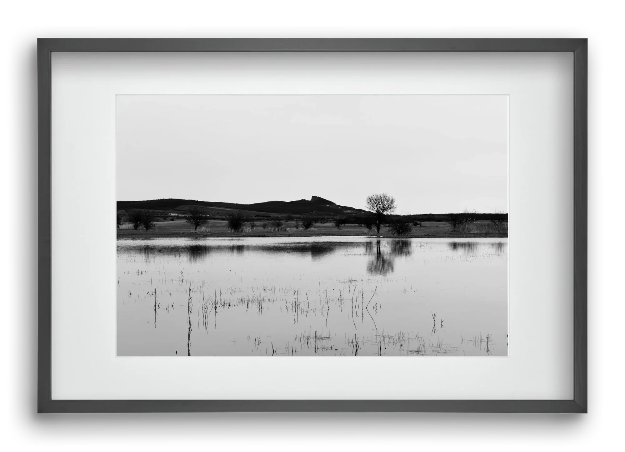 sharp - artbridge