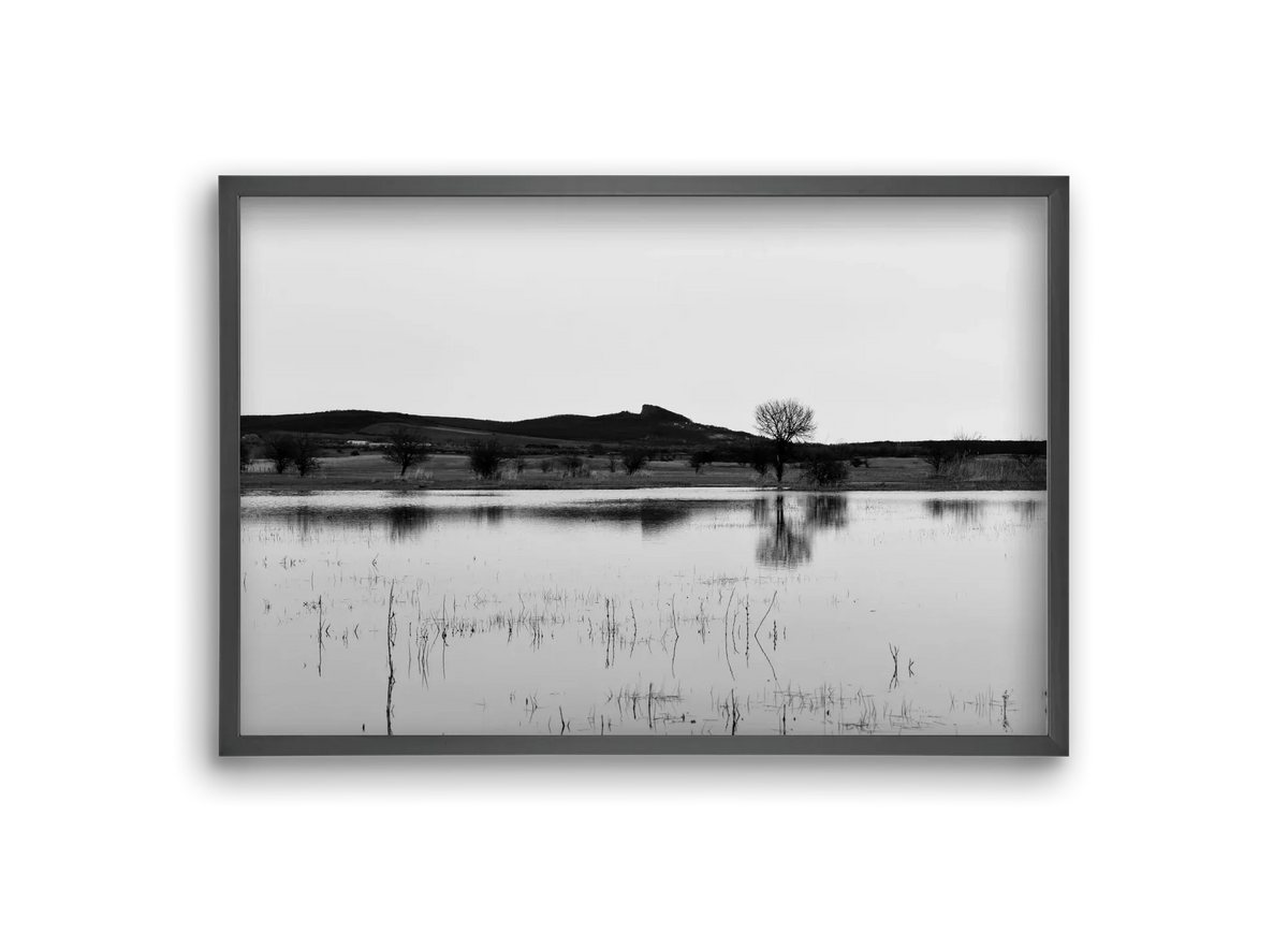 sharp - artbridge