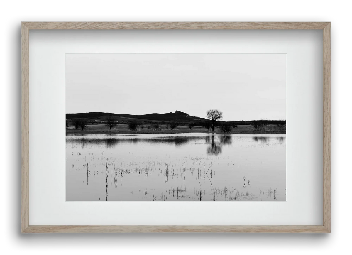 sharp - artbridge