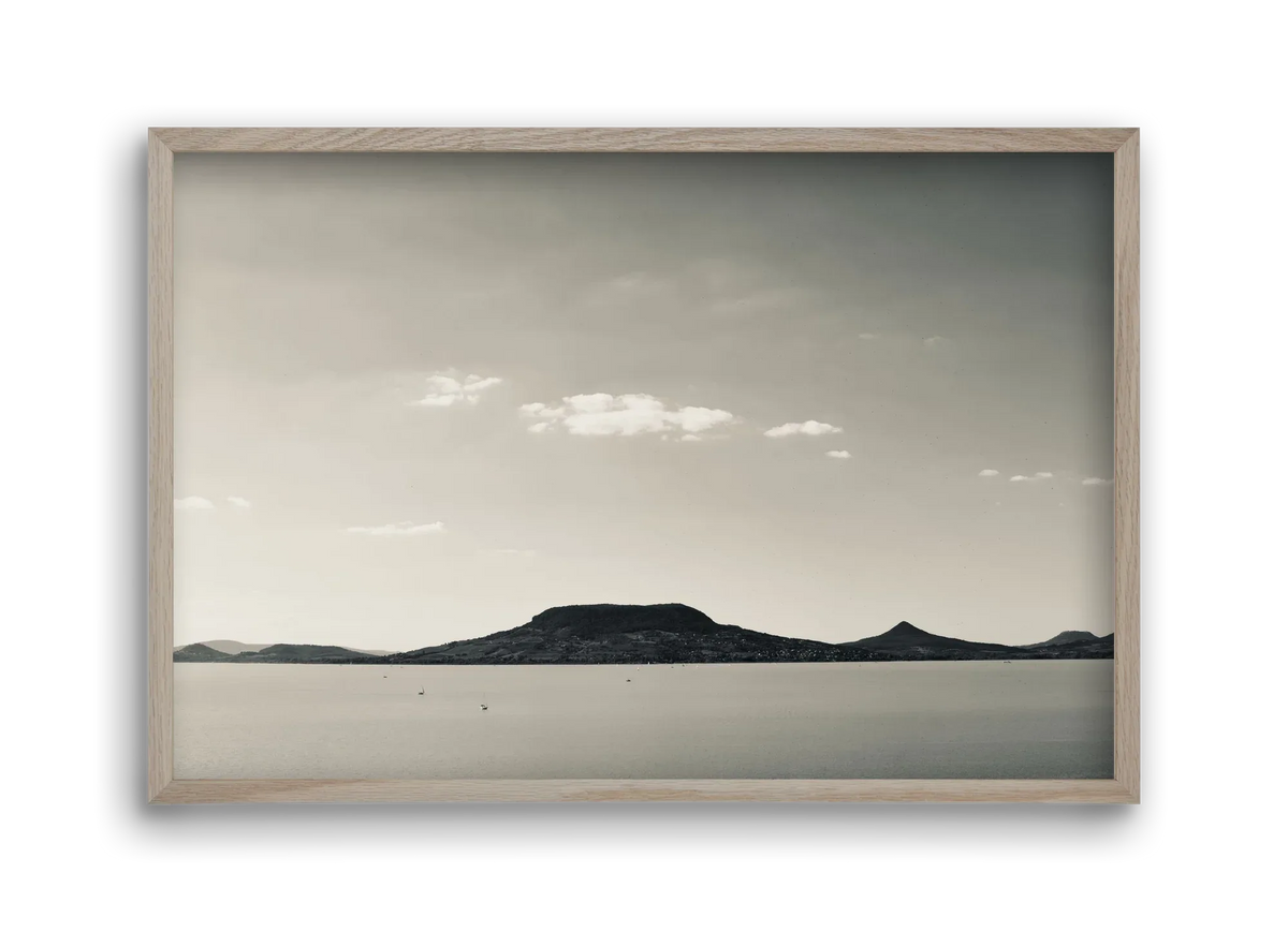 Summer life - artbridge