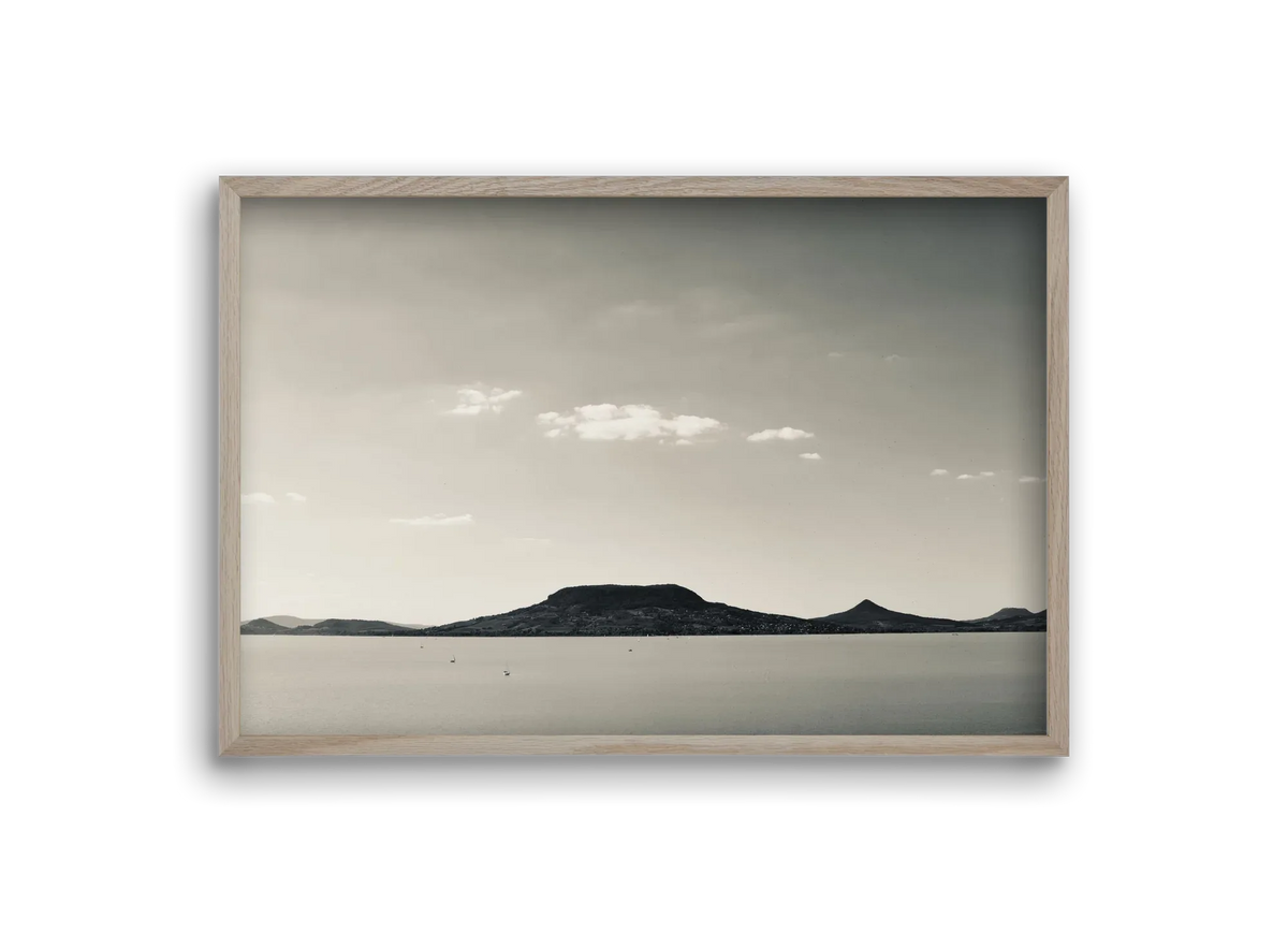Summer life - artbridge