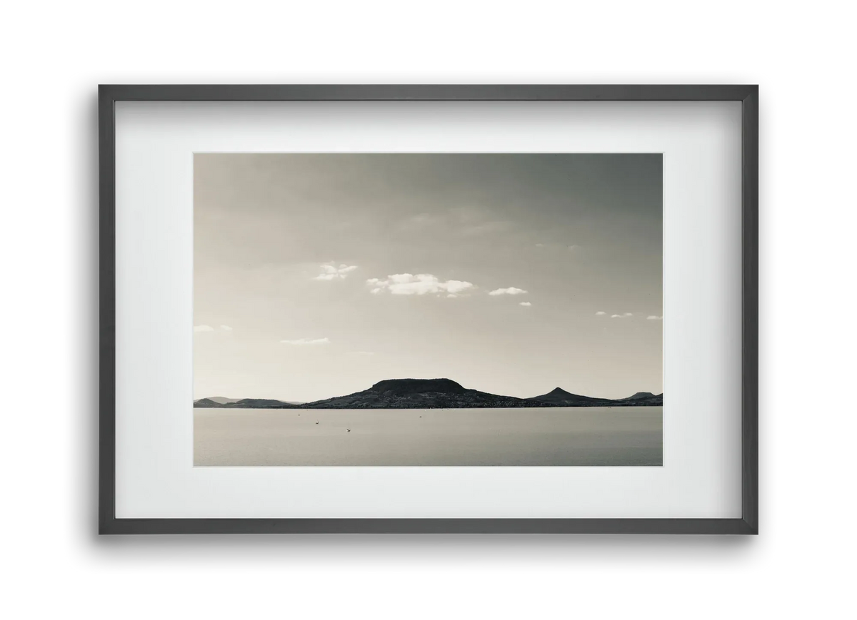 Summer life - artbridge