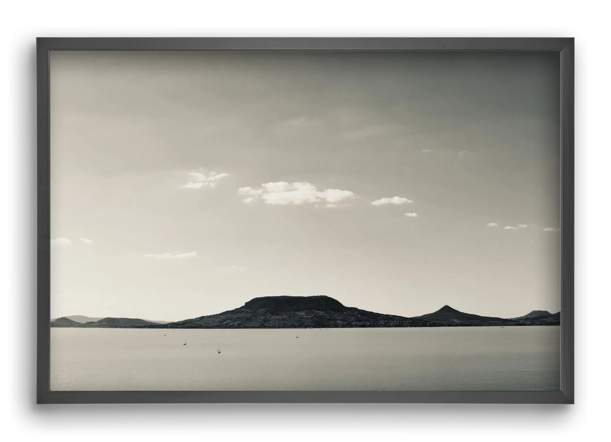 Summer life - artbridge