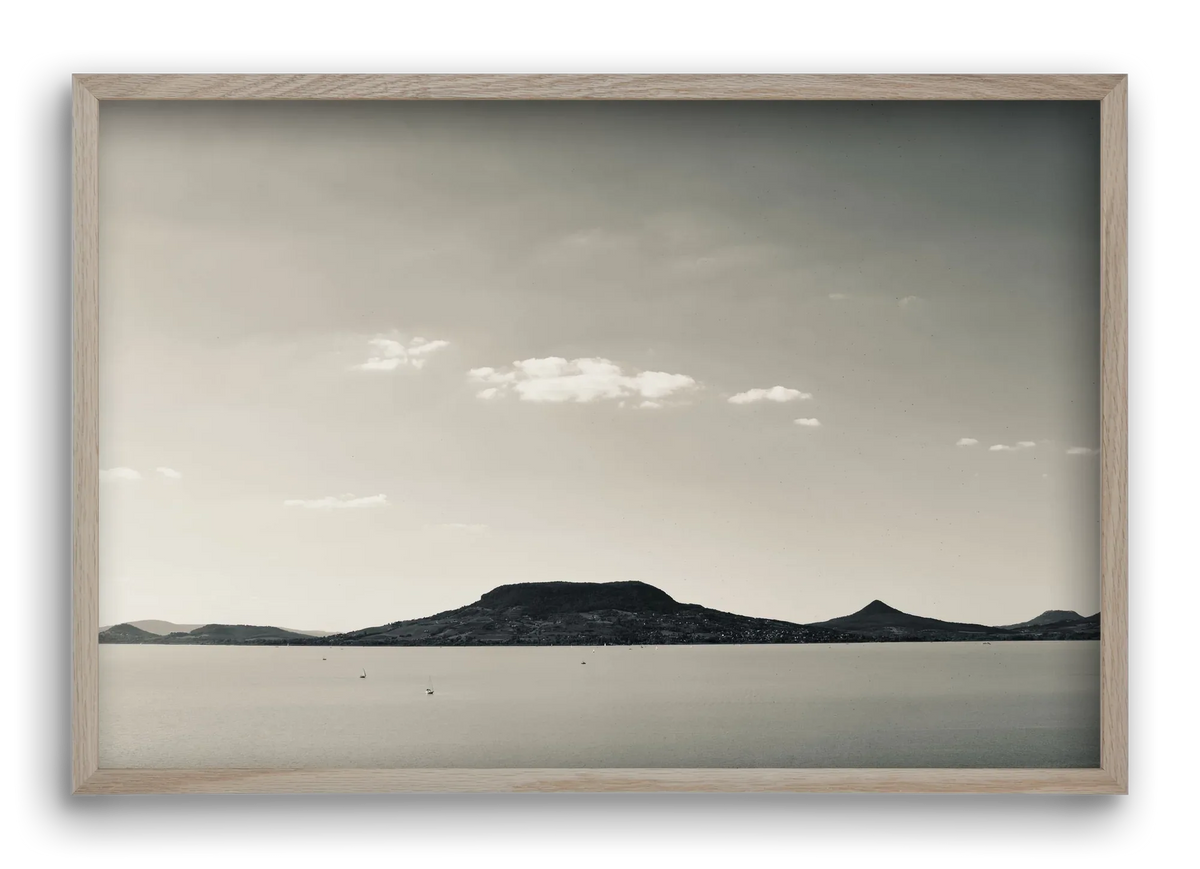 Summer life - artbridge