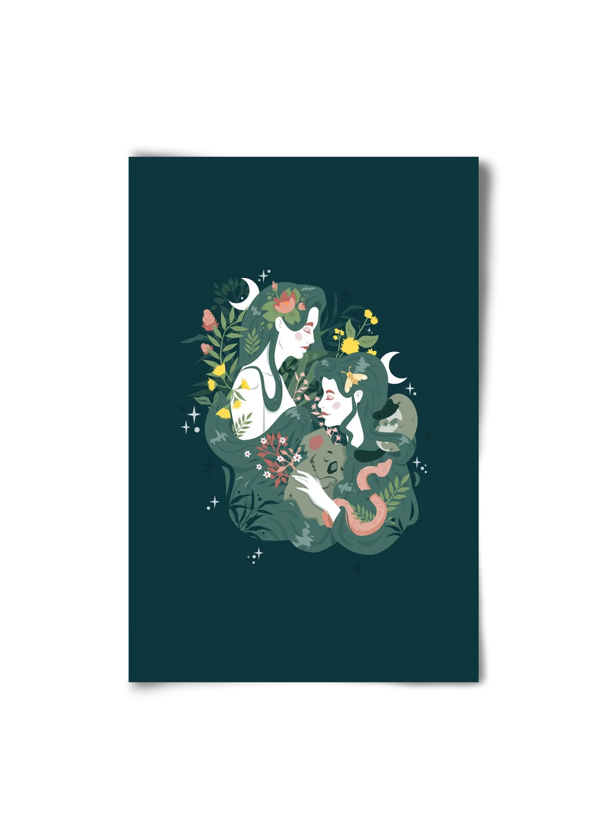 Flora & Fauna - artbridge