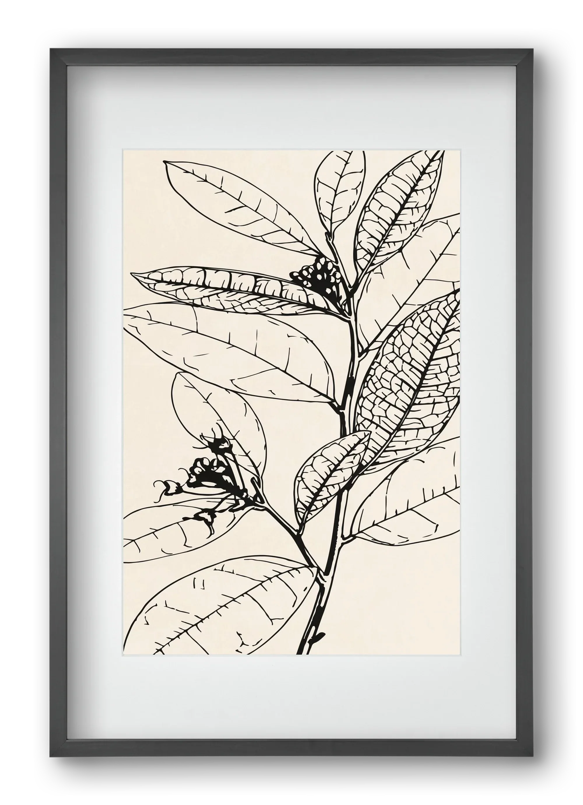 MINIMAL PLANT 02 - artbridge