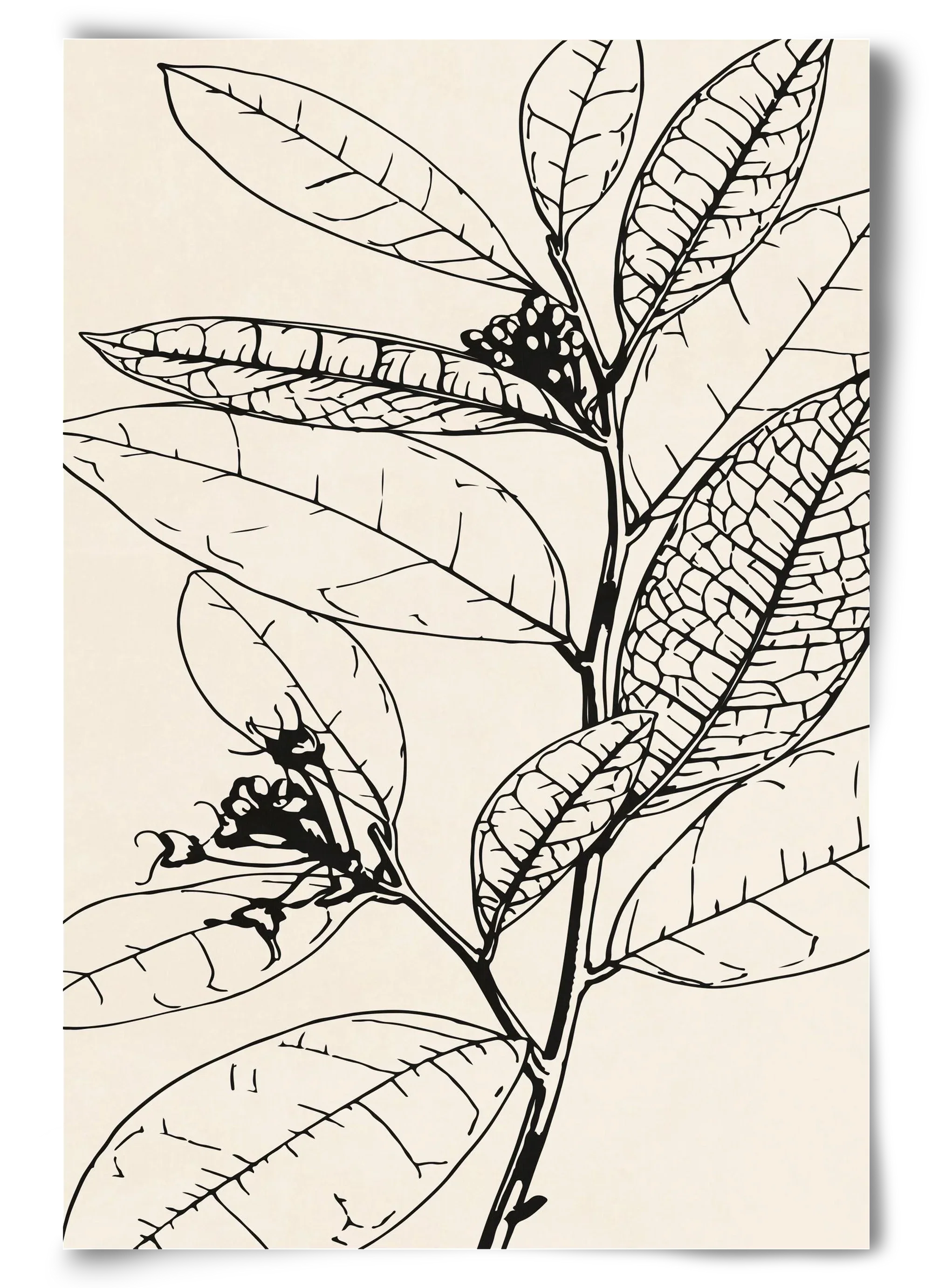 MINIMAL PLANT 02 - artbridge
