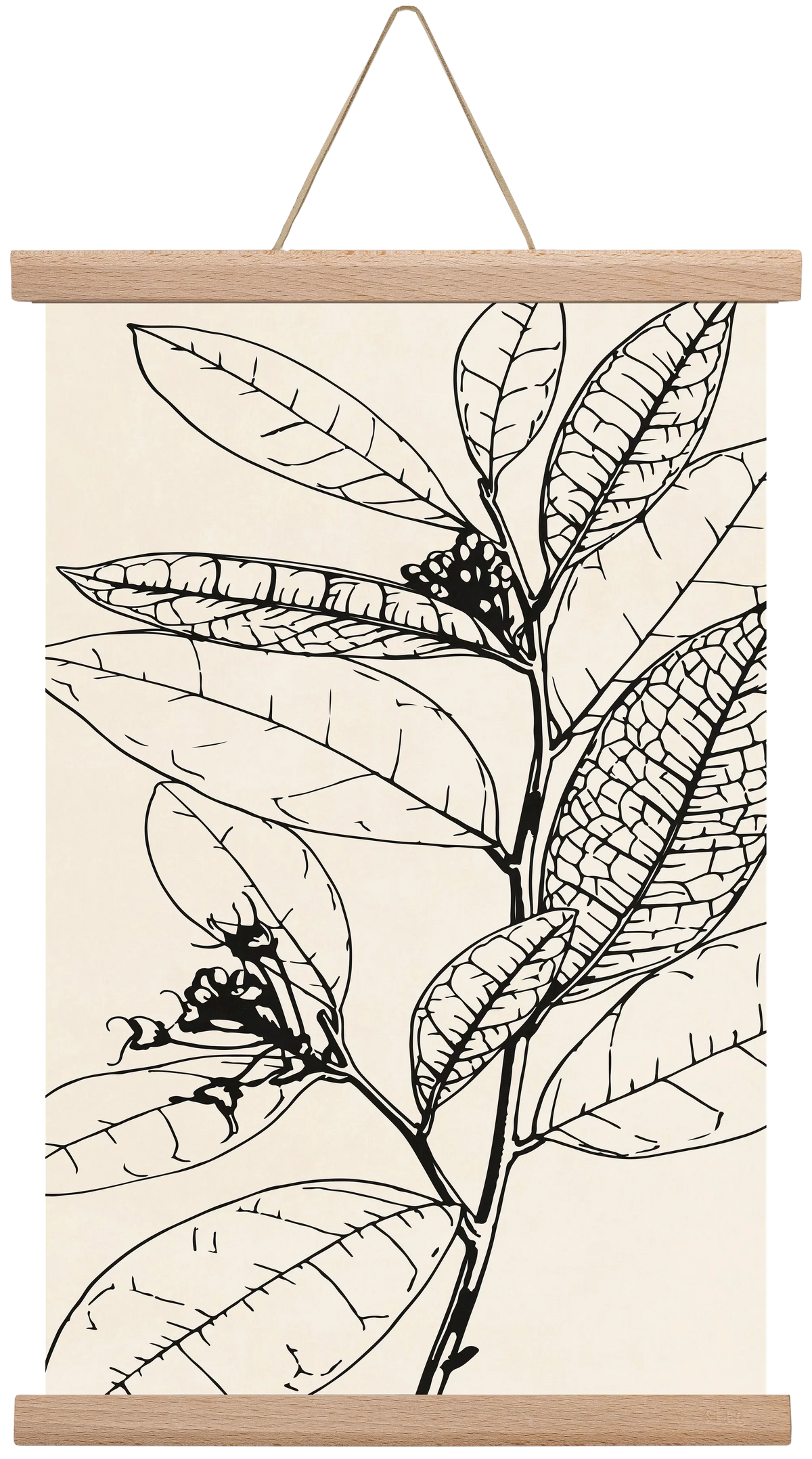 MINIMAL PLANT 02 - artbridge