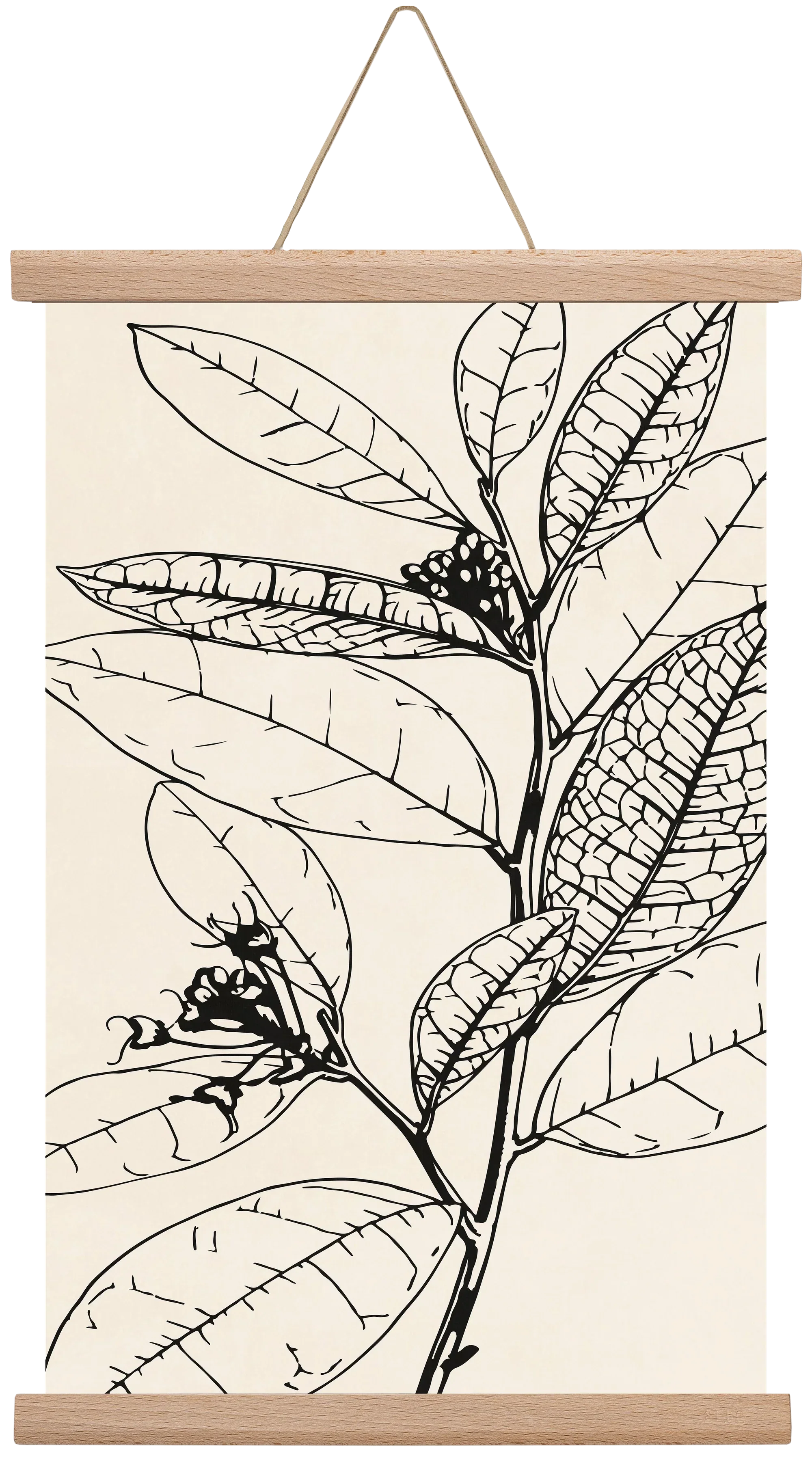 MINIMAL PLANT 02 - artbridge